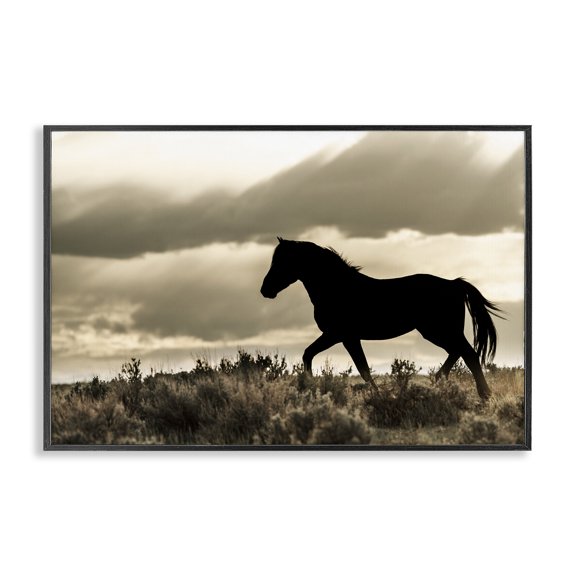 Stupell Industries Silhouette of Horse Roaming Landscape & Nature Photography Black Framed Art Print Wall Art, 30 x 20