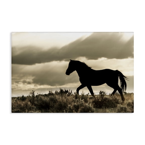 Stupell Industries Silhouette of Horse Roaming Landscape & Nature Photography Wrapped Canvas Canvas Art Print Wall Art, 24 x 16
