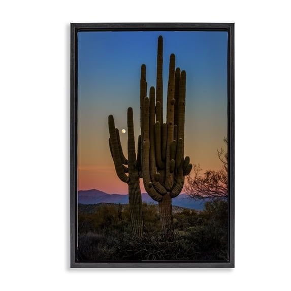 Stupell Industries Silhouetted Cacti with Moon Landscape & Nature Photography Black Floater Framed Canvas Art Print Wall Art, 21 x 31