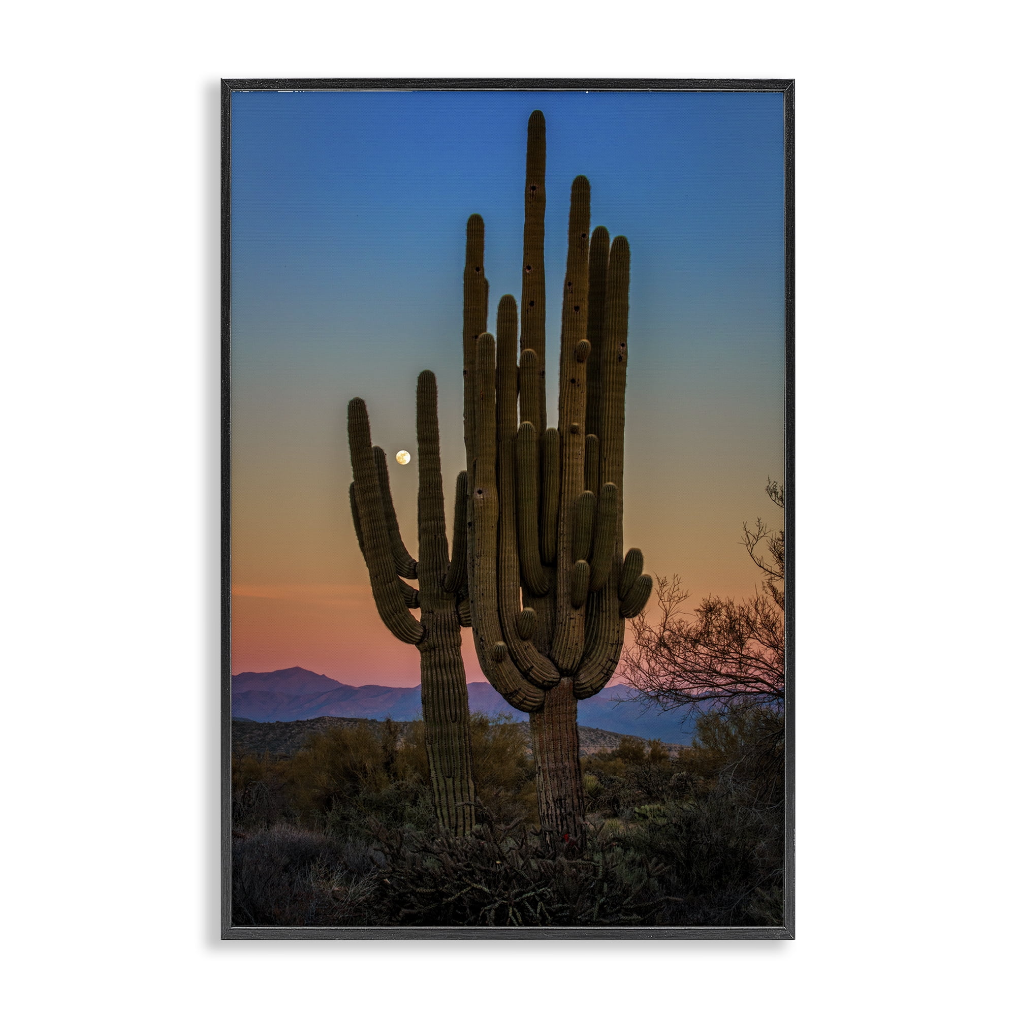 Stupell Industries Silhouetted Cacti with Moon Landscape & Nature Photography Black Framed Art Print Wall Art, 16 x 24