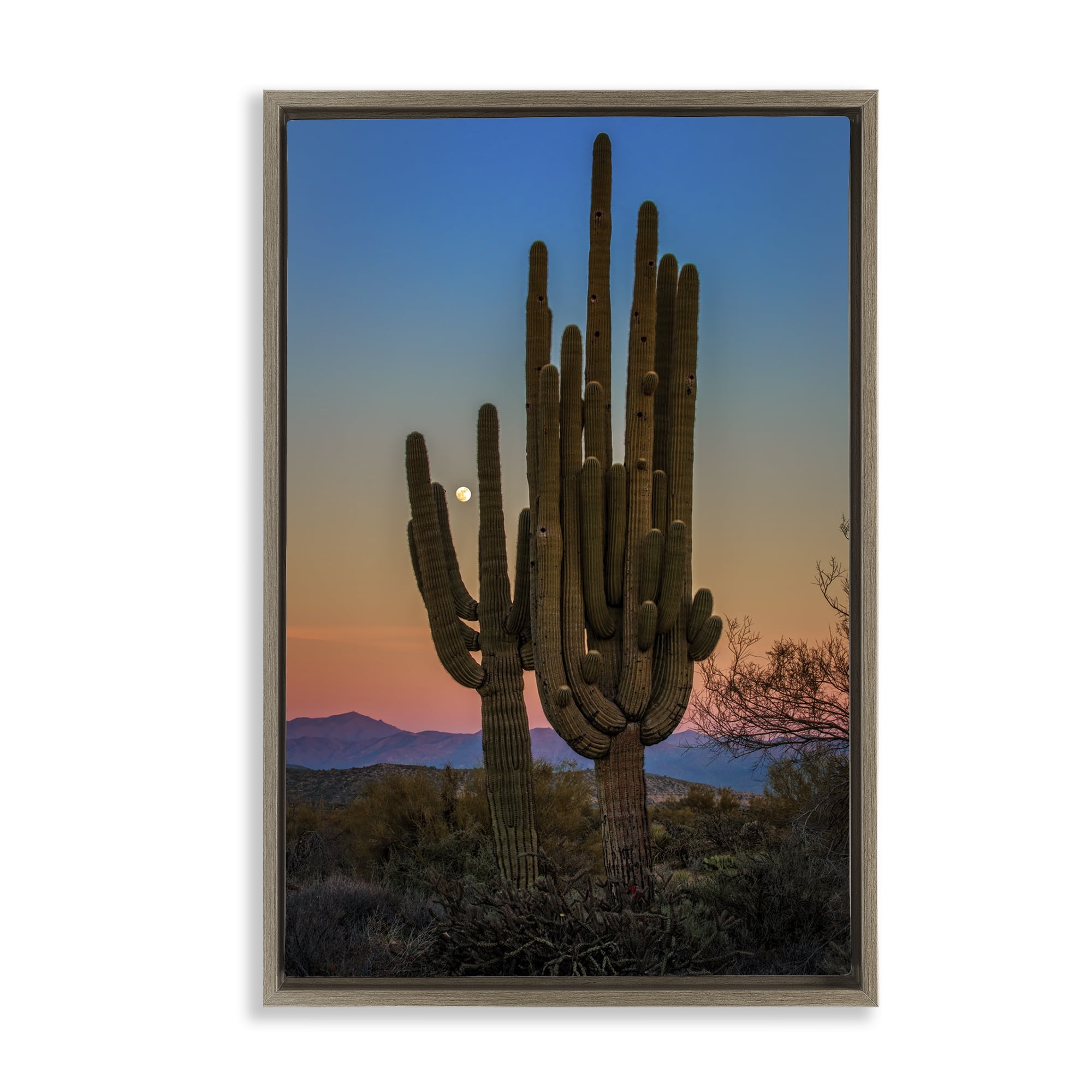 Stupell Industries Silhouetted Cacti with Moon Landscape & Nature Photography Brown Floater Framed Canvas Art Print Wall Art, 21 x 31