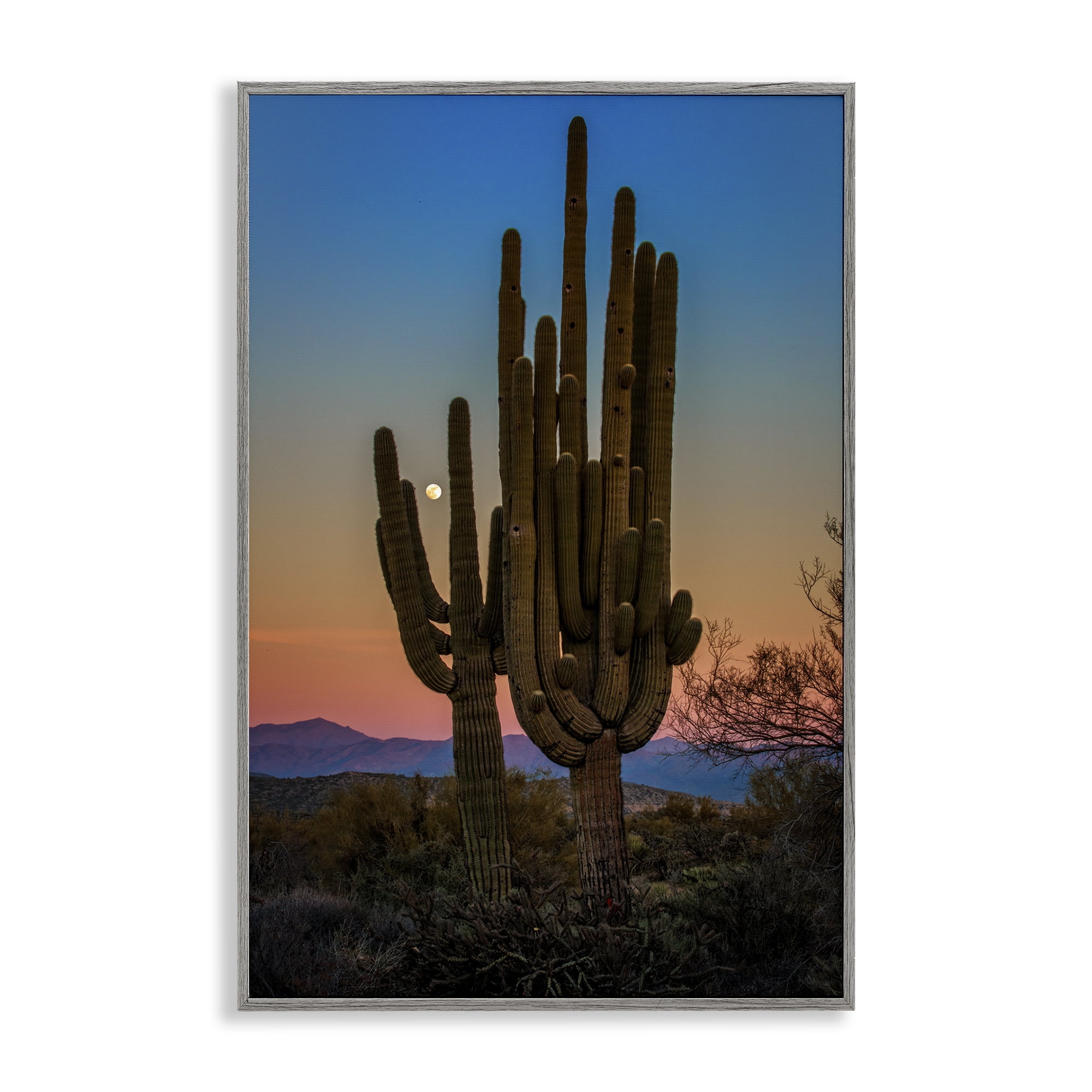 Stupell Industries Silhouetted Cacti with Moon Landscape & Nature Photography Gray Framed Art Print Wall Art, 12 x 18