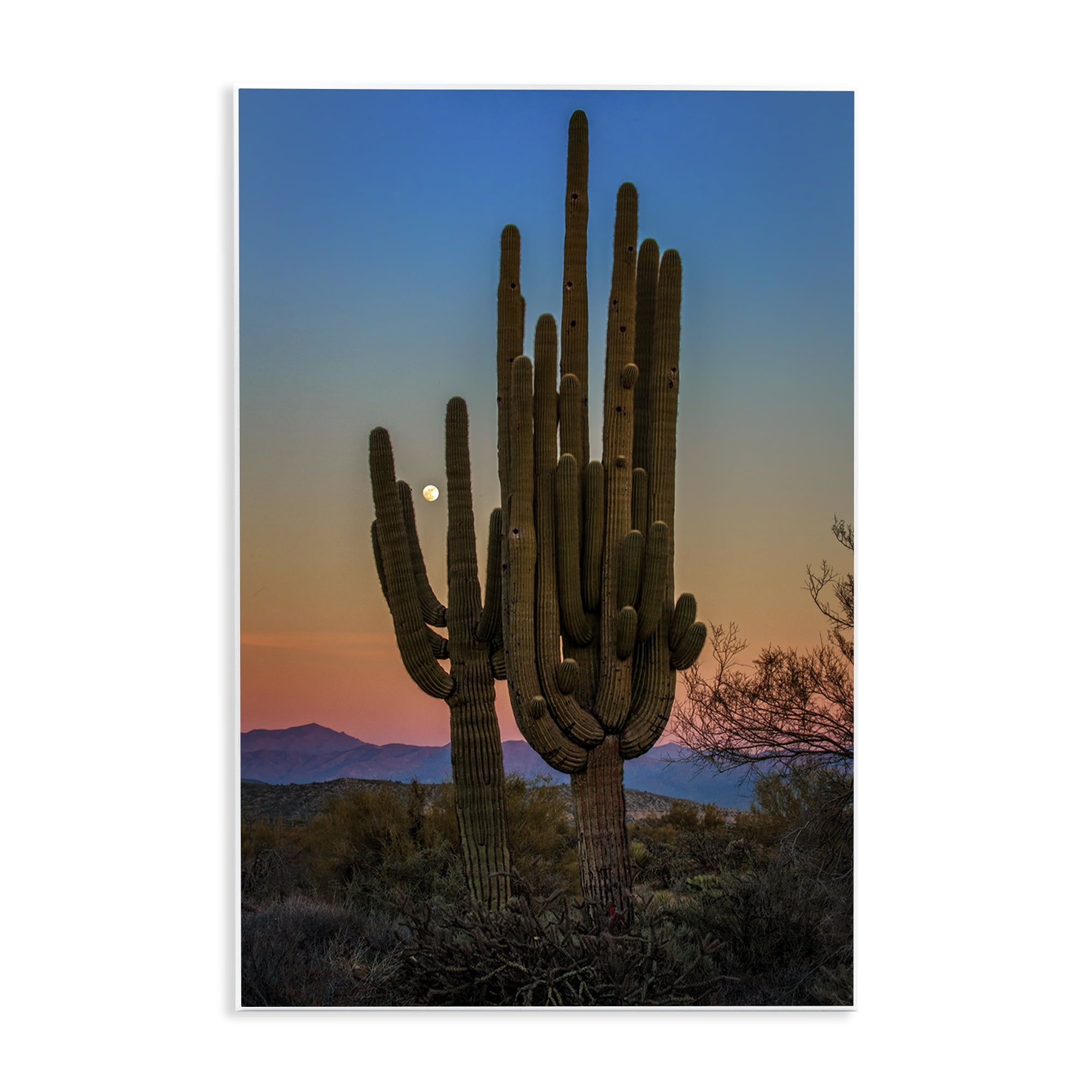 Stupell Industries Silhouetted Cacti with Moon Landscape & Nature Photography Unframed Art Print Wall Art, 13 x 19