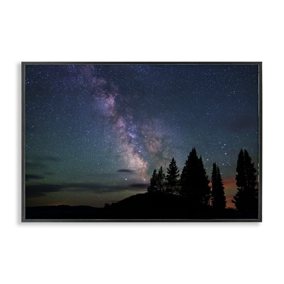 Stupell Industries Silhouetted Forest & Night Sky Landscape & Nature Photography Black Framed Art Print Wall Art, 18 x 12