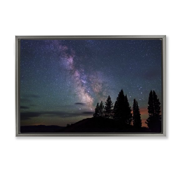 Stupell Industries Silhouetted Forest & Night Sky Landscape & Nature Photography Gray Floater Framed Canvas Art Print Wall Art, 25 x 17