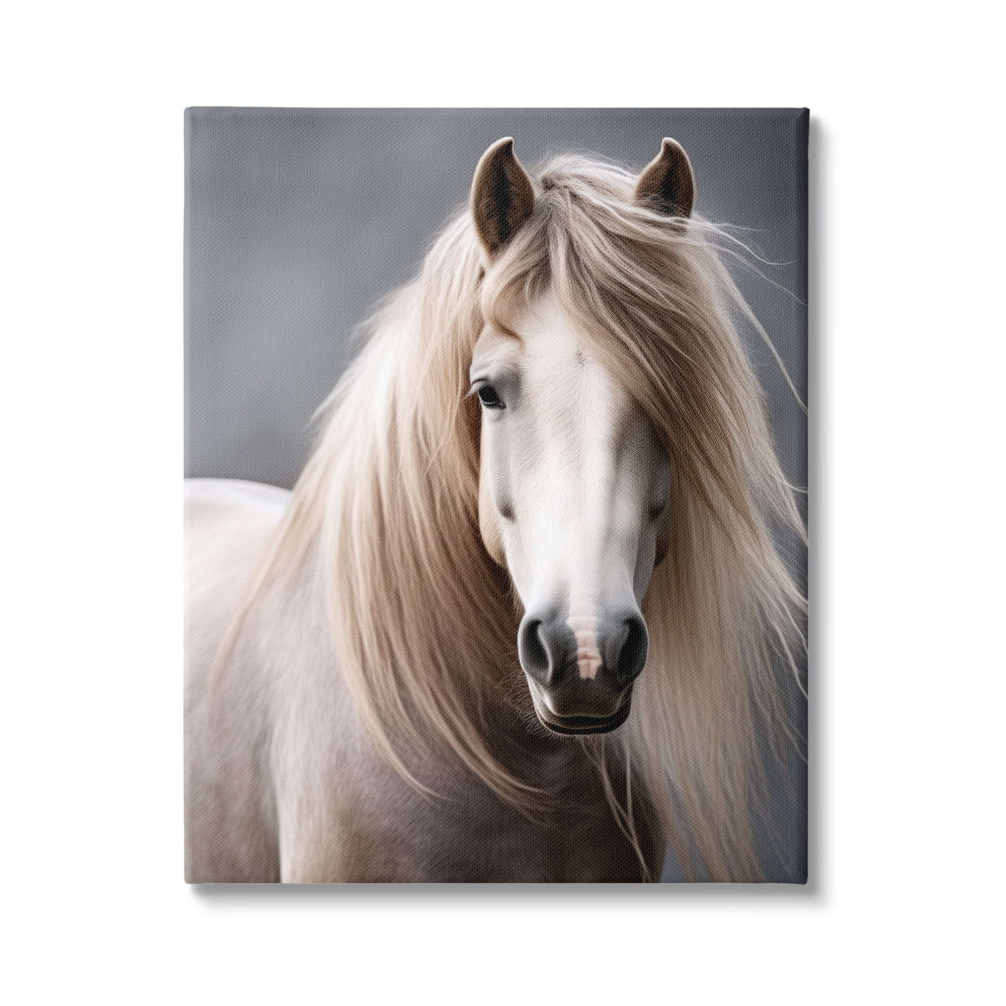 Stupell Industries Silky Haired Horse Animals & Insects Photography Gallery Wrapped Canvas Art Print Wall Art, 24 x 30