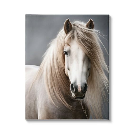 Stupell Industries Silky Haired Horse Animals & Insects Photography Gallery Wrapped Canvas Art Print Wall Art, 30 x 40