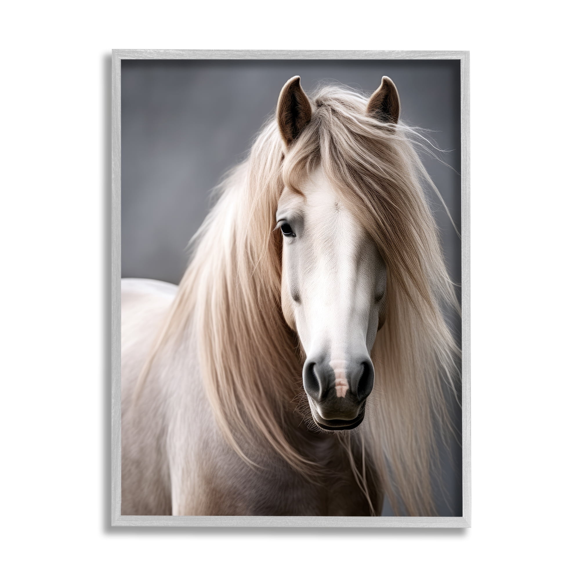 Stupell Industries Silky Haired Horse Animals & Insects Photography Gray Framed Art Print Wall Art, 16 x 20