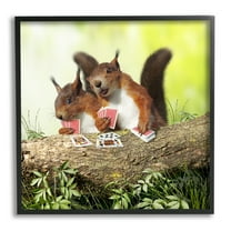 Stupell Industries Silly Squirrels Playing Card Games Tree Branch Photograph Black Framed Art Print Wall Art, Design by Chiara