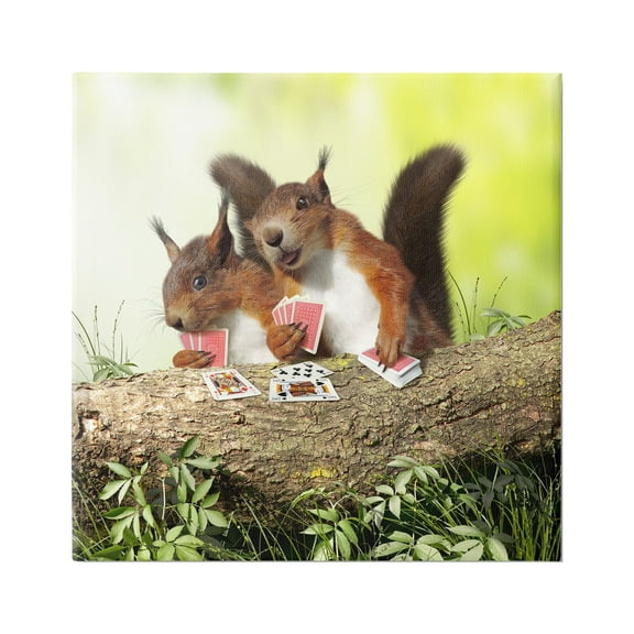Stupell Industries Silly Squirrels Playing Card Games Tree Branch Photograph Gallery Wrapped Canvas Print Wall Art, Design by Chiara