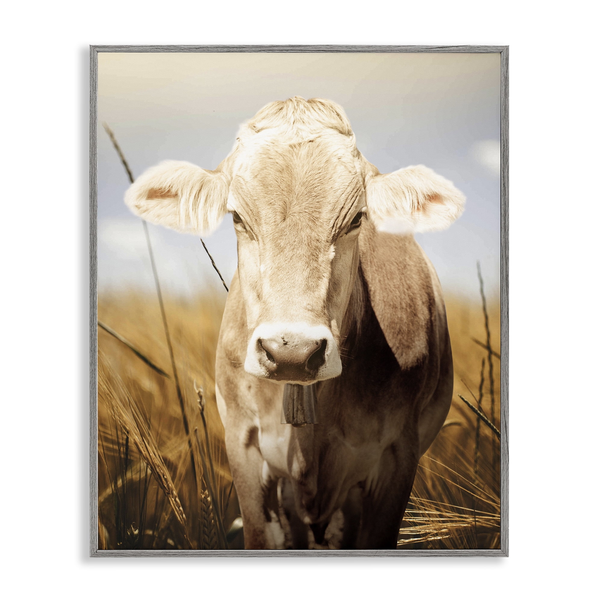 Stupell Industries Simple Belle Cow Portrait Gray Framed Giclee Art, design by Marcus Prime