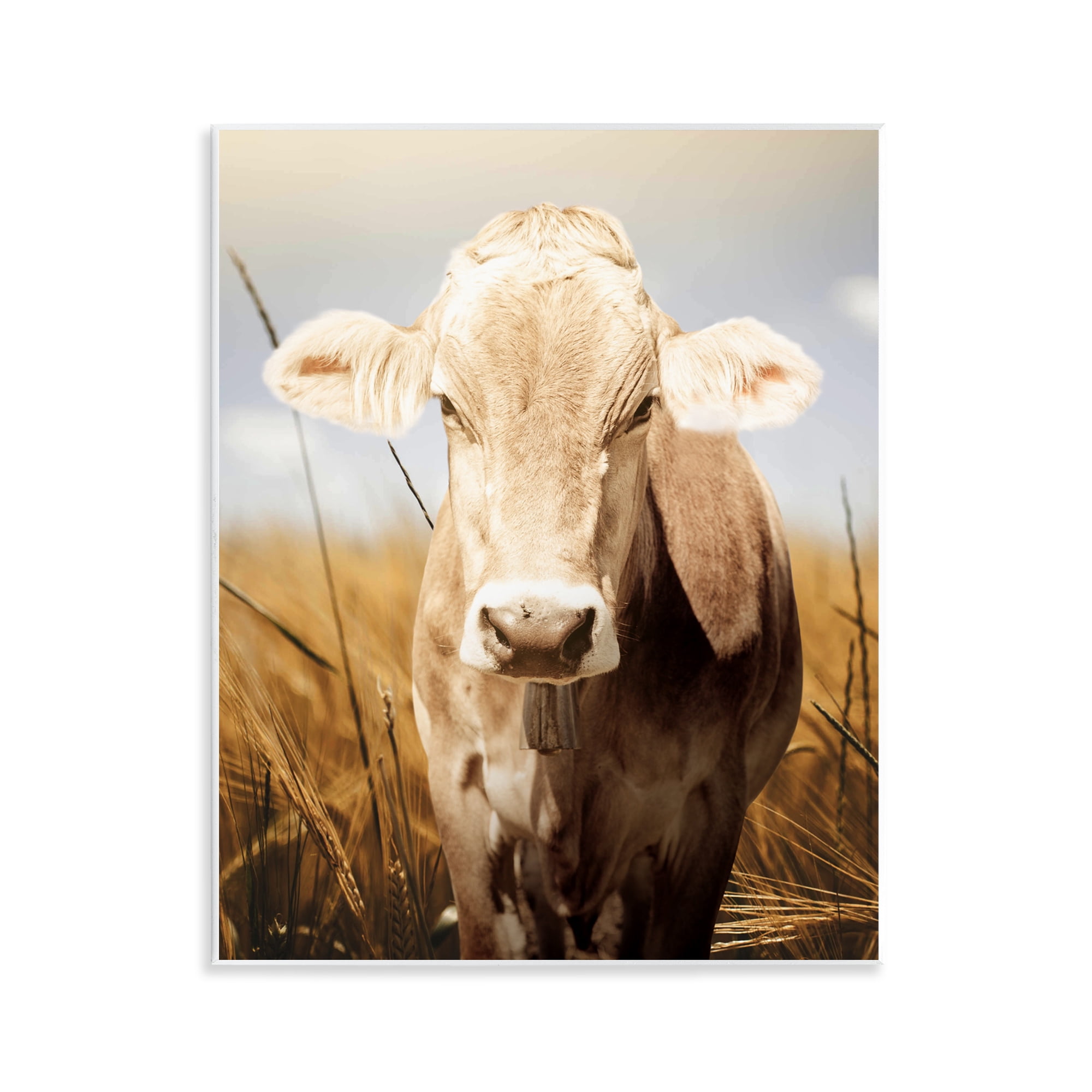 Stupell Industries Simple Belle Cow Portrait Wall Plaque Art, design by Marcus Prime
