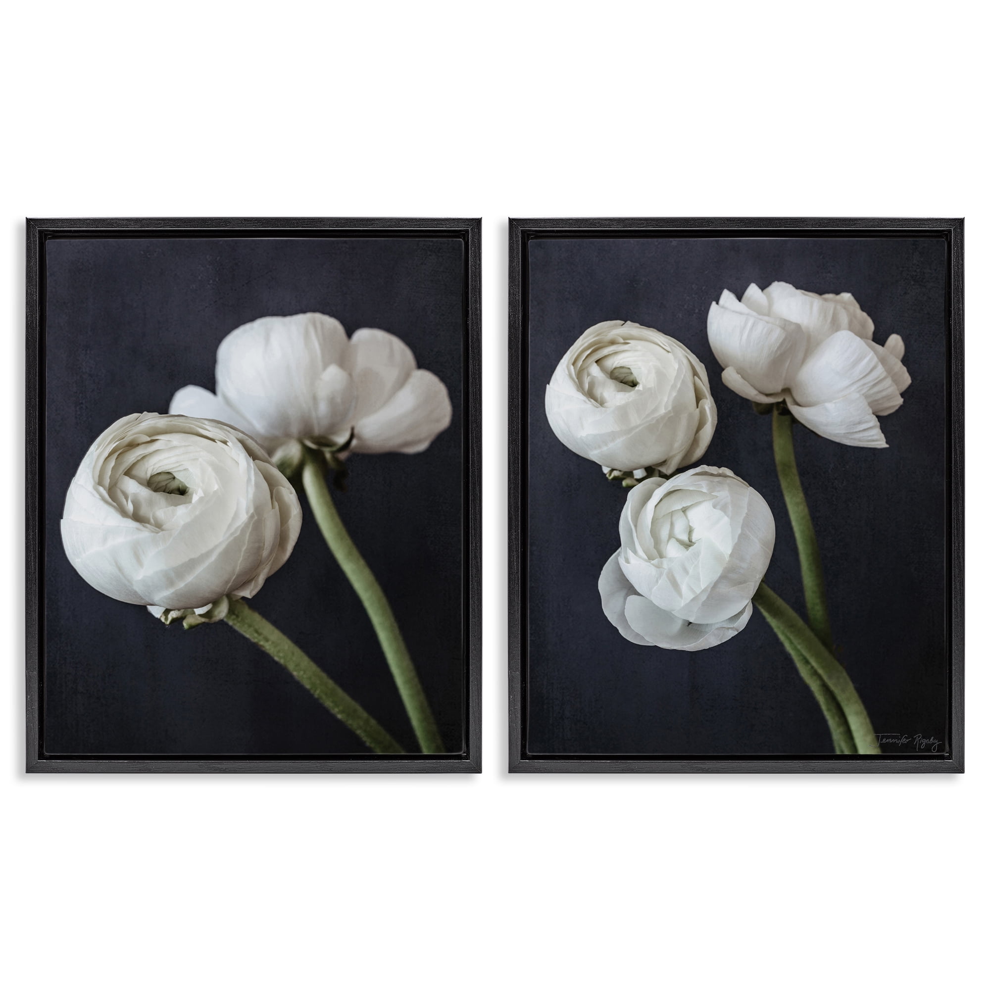 Stupell Industries Simple Black & White Peony Plants & Flowers Photography Black Floater Framed Canvas Art Print Wall Art, 31 x 25, Set of 2