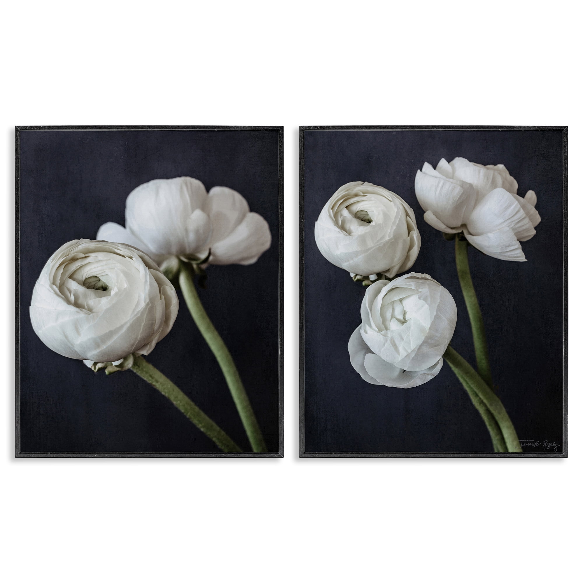 Stupell Industries Simple Black & White Peony Plants & Flowers Photography Black Framed Art Print Wall Art, 16 x 20, Set of 2