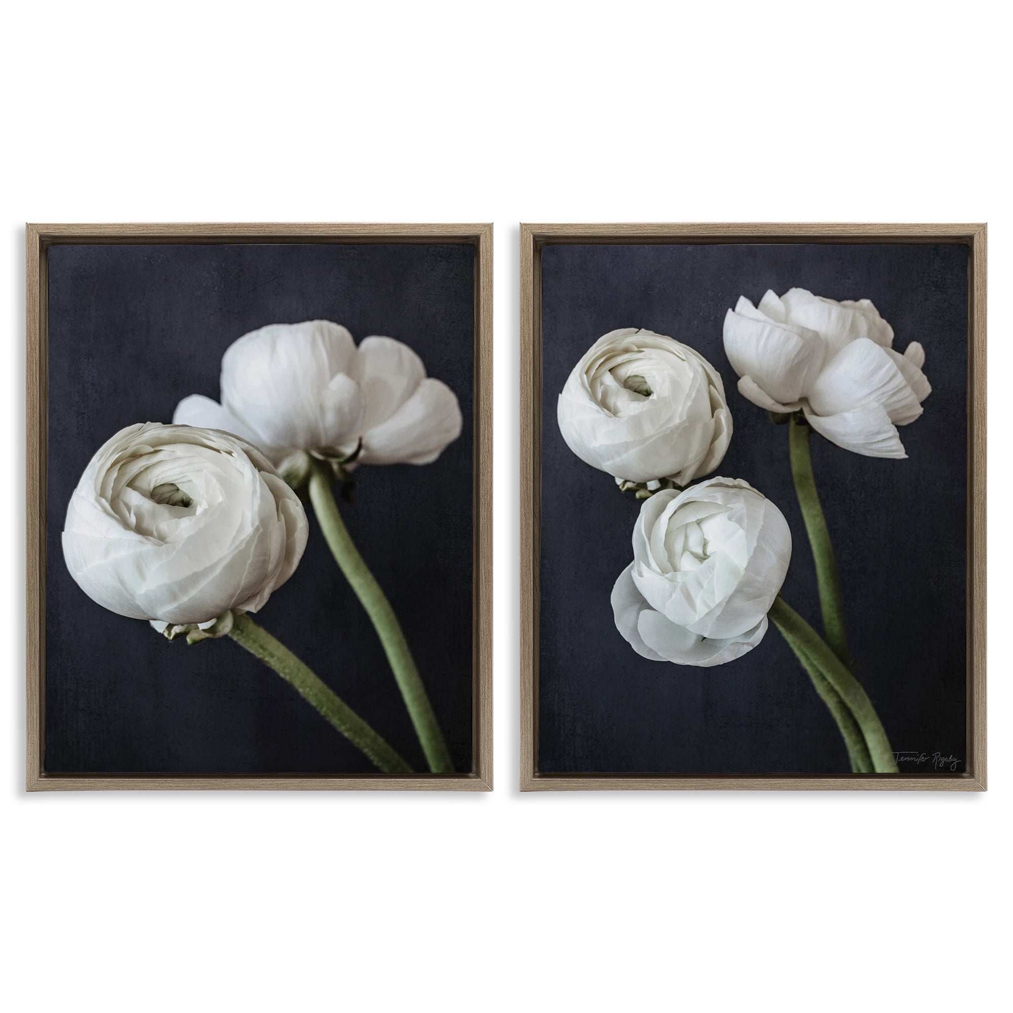 Stupell Industries Simple Black & White Peony Plants & Flowers Photography Brown Floater Framed Canvas Art Print Wall Art, 31 x 25, Set of 2