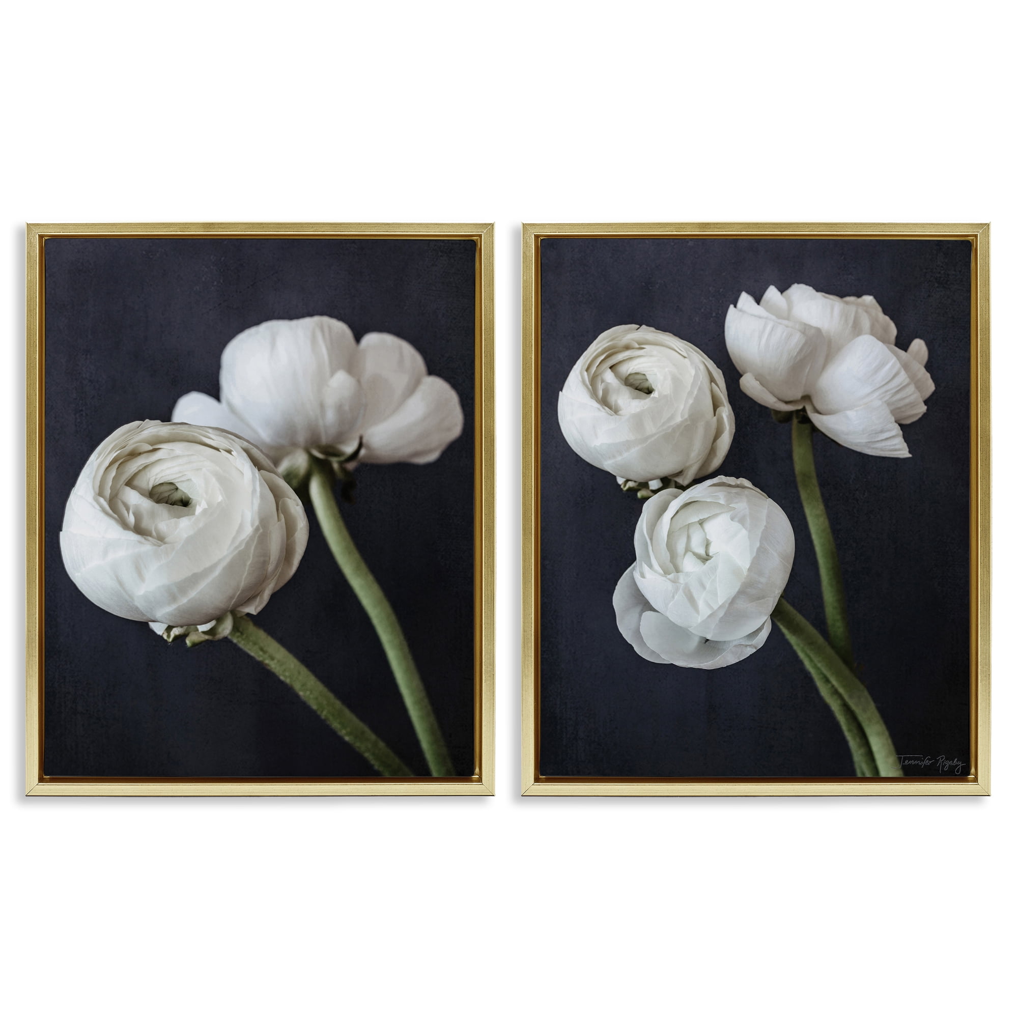 Stupell Industries Simple Black & White Peony Plants & Flowers Photography Gold Floater Framed Canvas Art Print Wall Art, 31 x 25, Set of 2