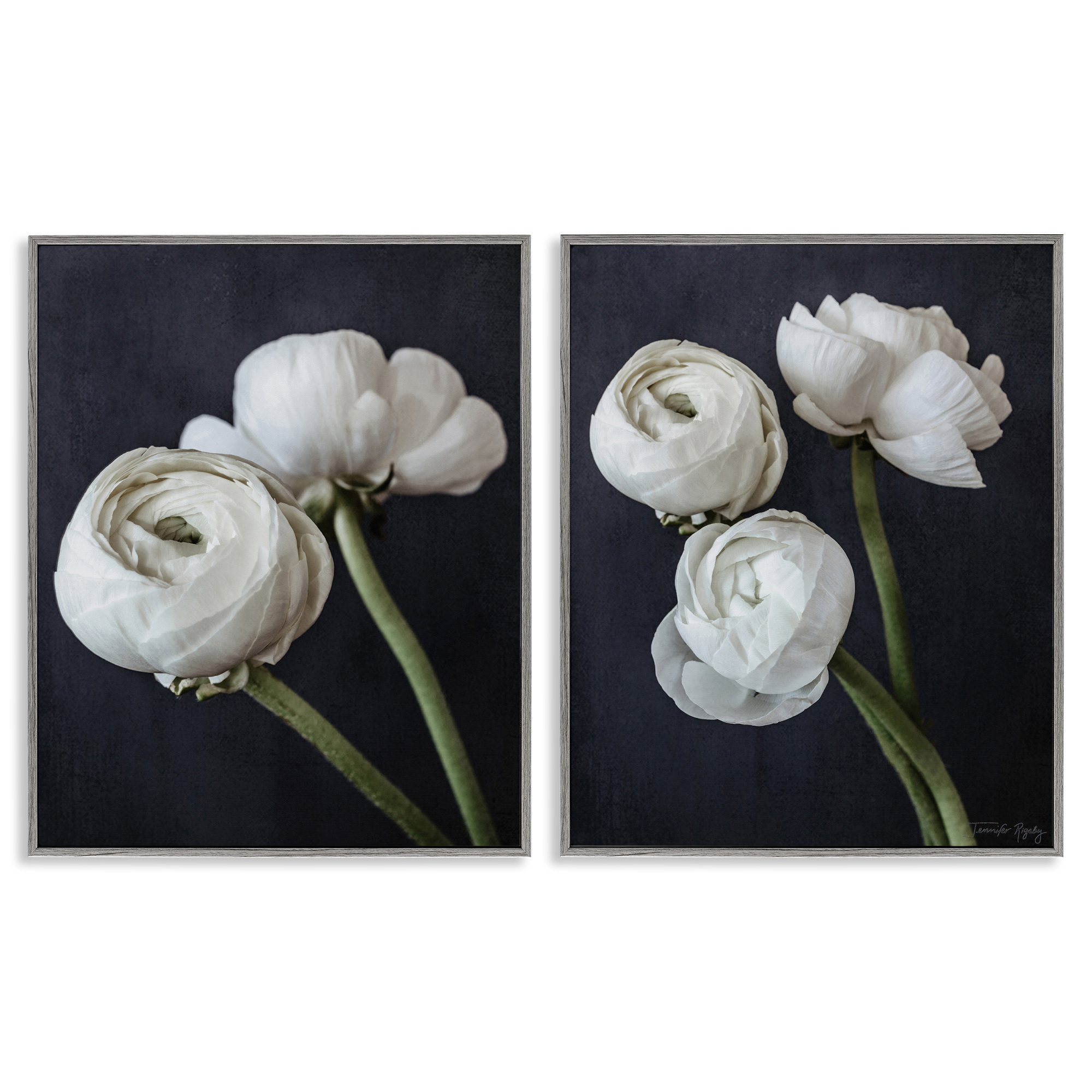 Stupell Industries Simple Black & White Peony Plants & Flowers Photography Gray Framed Art Print Wall Art, 24 x 30, Set of 2