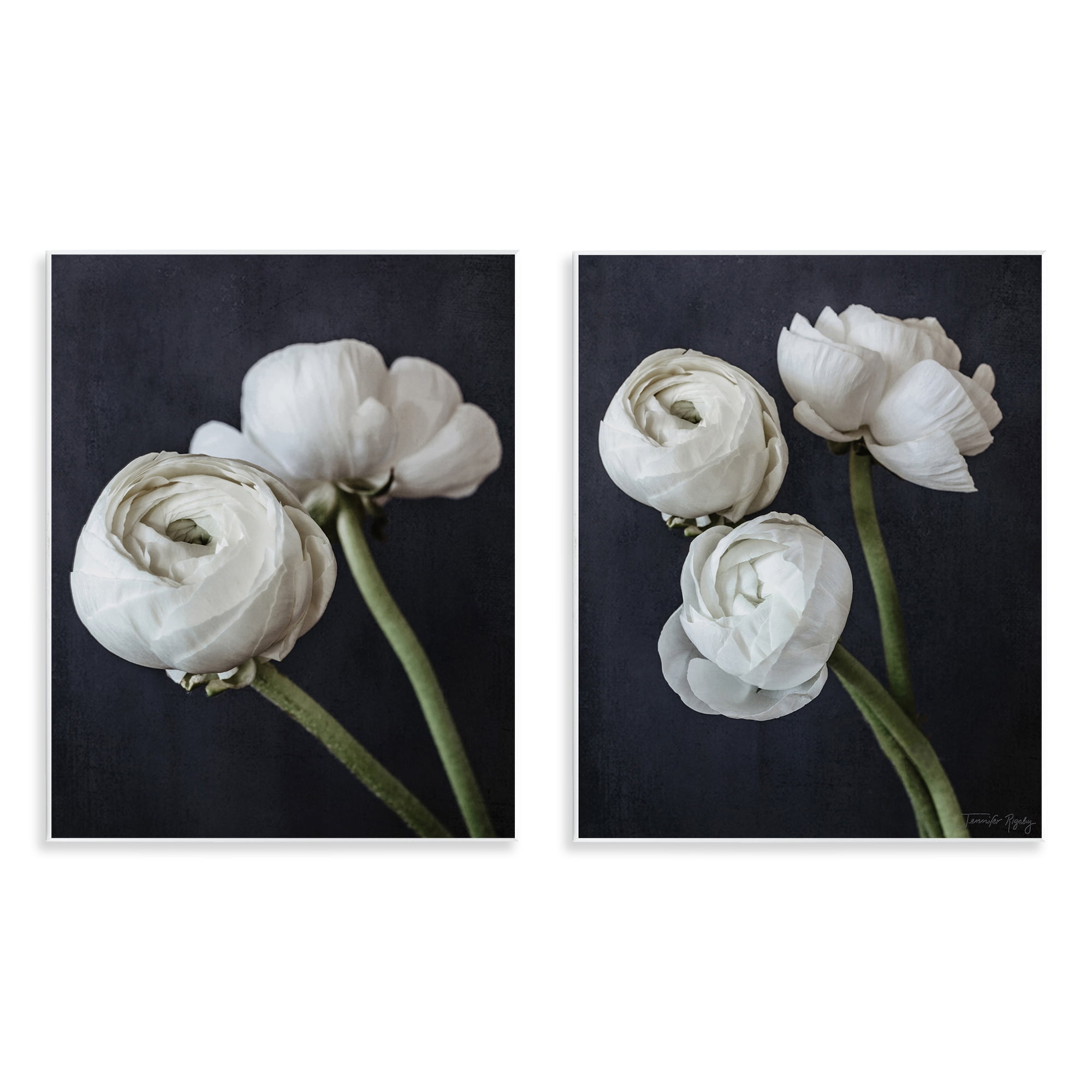 Stupell Industries Simple Black & White Peony Plants & Flowers Photography Unframed Art Print Wall Art, 11 x 14, Set of 2