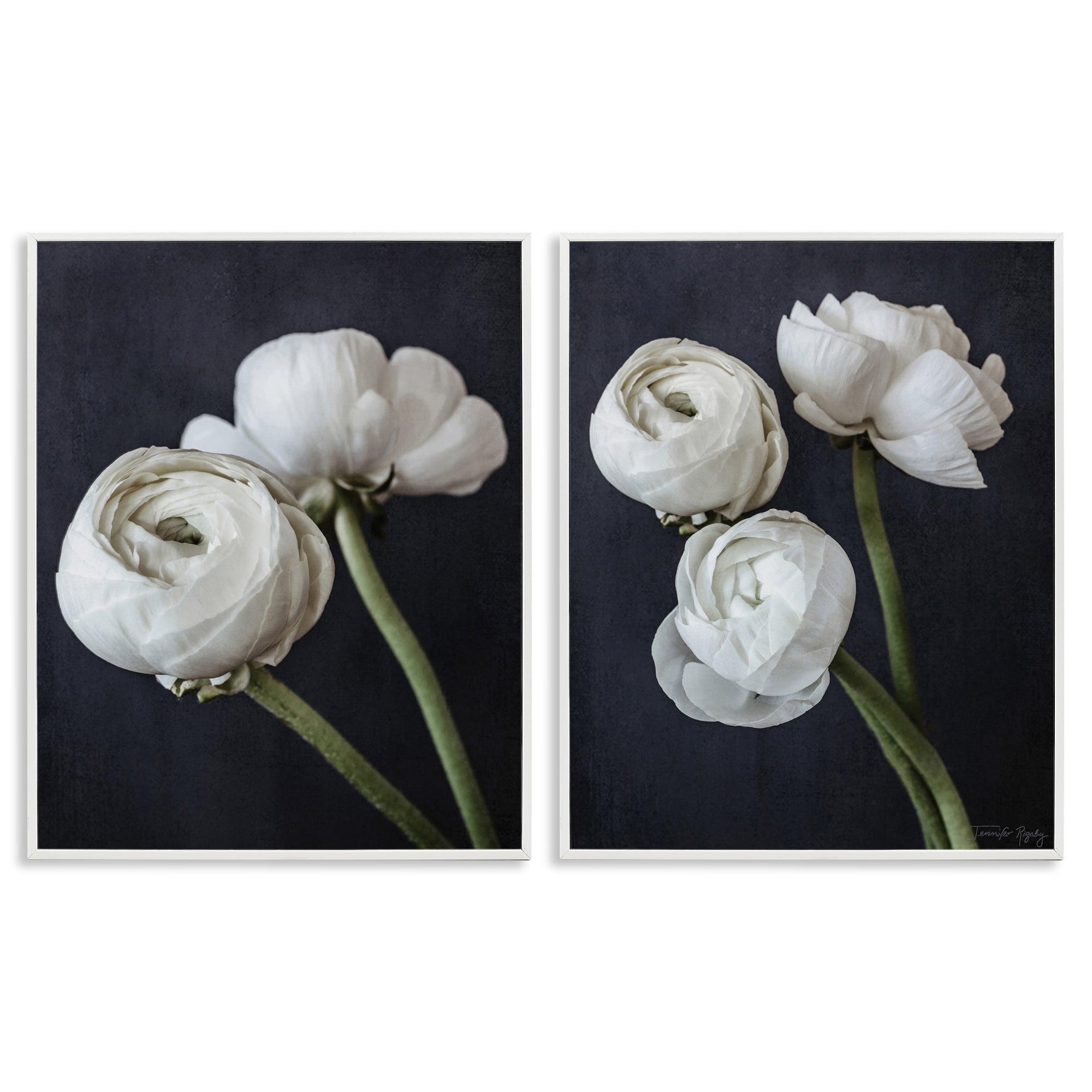 Stupell Industries Simple Black & White Peony Plants & Flowers Photography White Framed Art Print Wall Art, 16 x 20, Set of 2