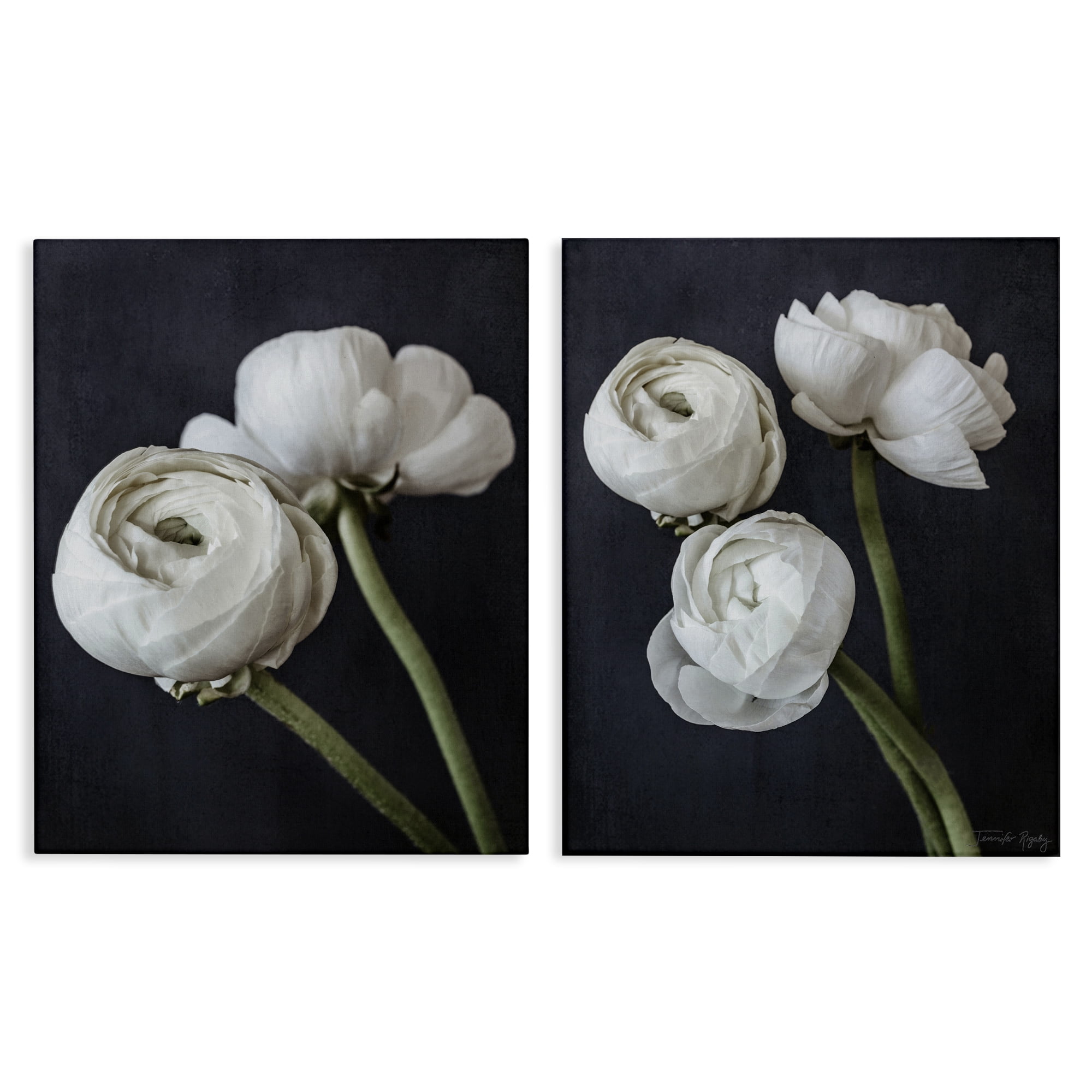 Stupell Industries Simple Black & White Peony Plants & Flowers Photography Wrapped Canvas Art Print Wall Art, 24 x 30, Set of 2