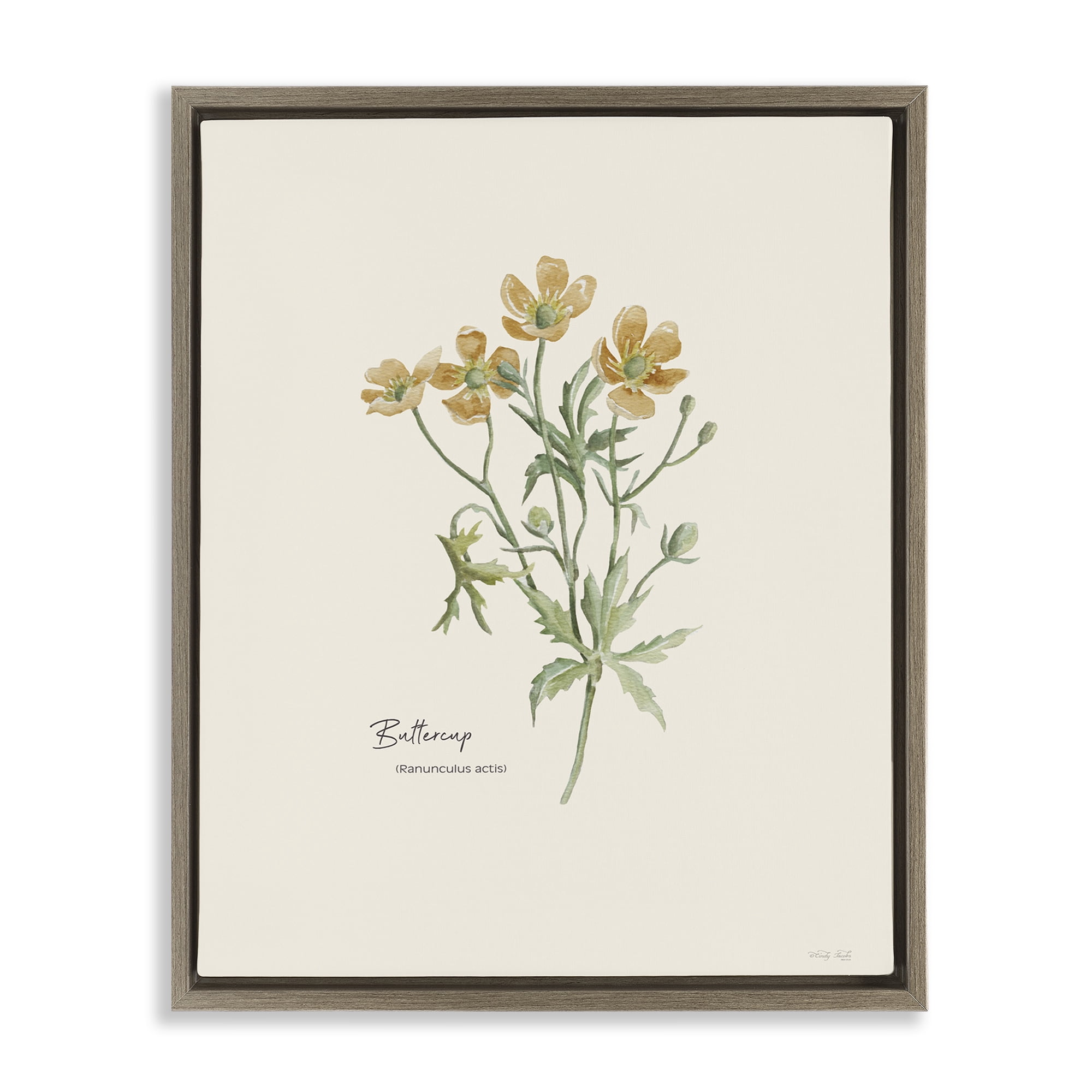 Stupell Industries Simple Buttercup Flowers Botanical & Floral Painting Brown Floater Framed Art Print Wall Art, 17 x 21