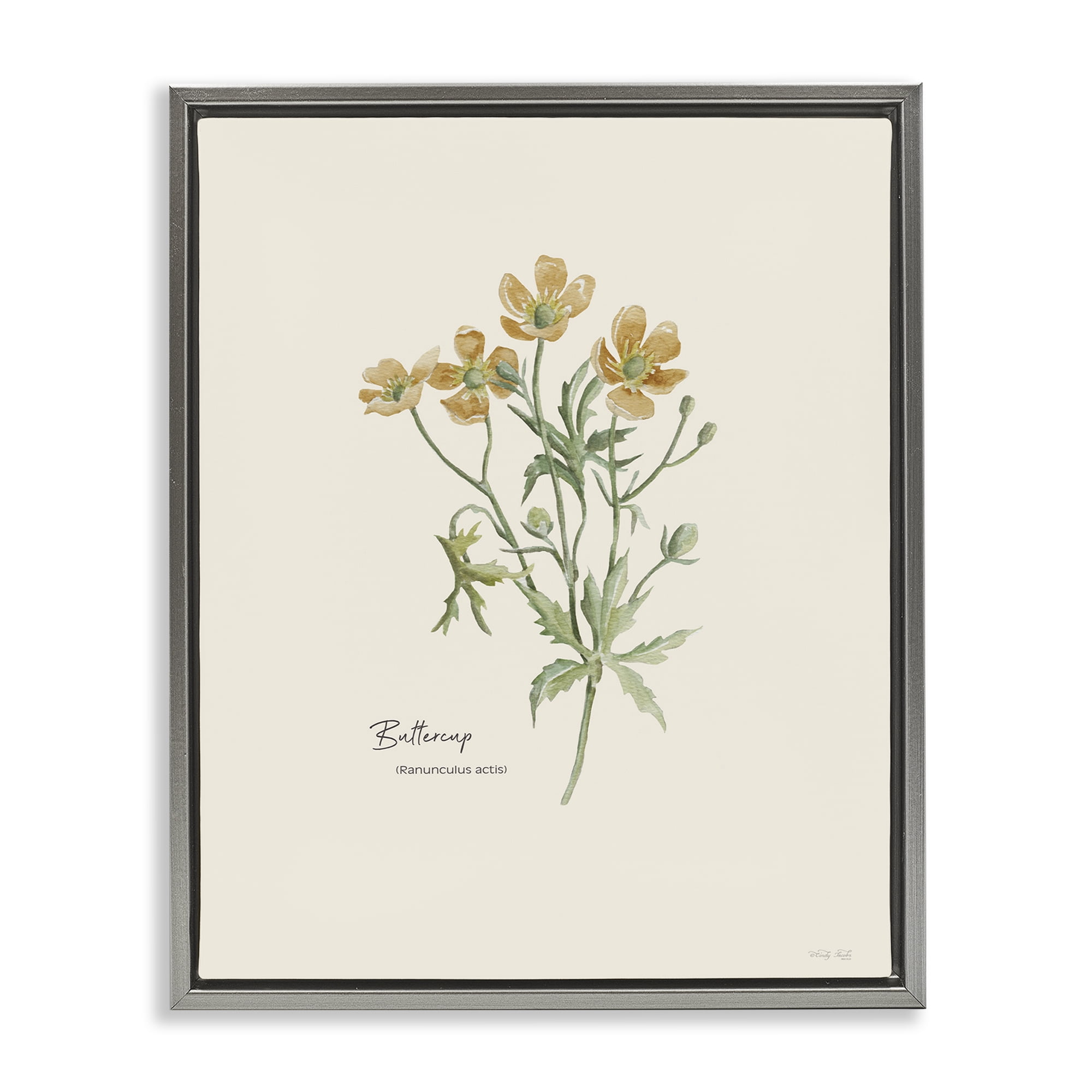 Stupell Industries Simple Buttercup Flowers Botanical & Floral Painting Gray Floater Framed Art Print Wall Art, 25 x 31