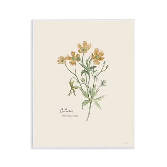 Stupell Industries Simple Buttercup Flowers Botanical & Floral Painting Unframed Art Print Wall Art, 11 x 14