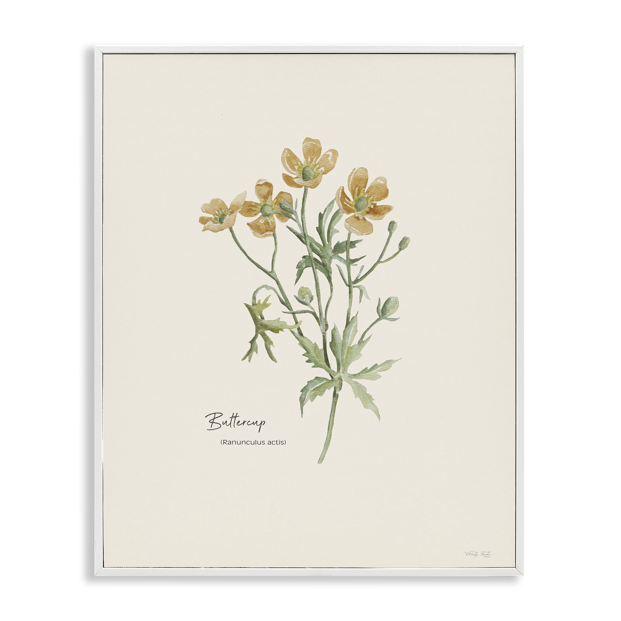 Stupell Industries Simple Buttercup Flowers Botanical & Floral Painting White Framed Art Print Wall Art, 11 x 14