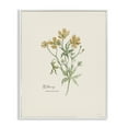 thumbnail image 1 of Stupell Industries Simple Buttercup Flowers Botanical & Floral Painting White Framed Art Print Wall Art, 24 x 30, 1 of 10