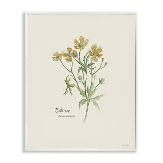 Stupell Industries Simple Buttercup Flowers Botanical & Floral Painting White Framed Art Print Wall Art, 24 x 30