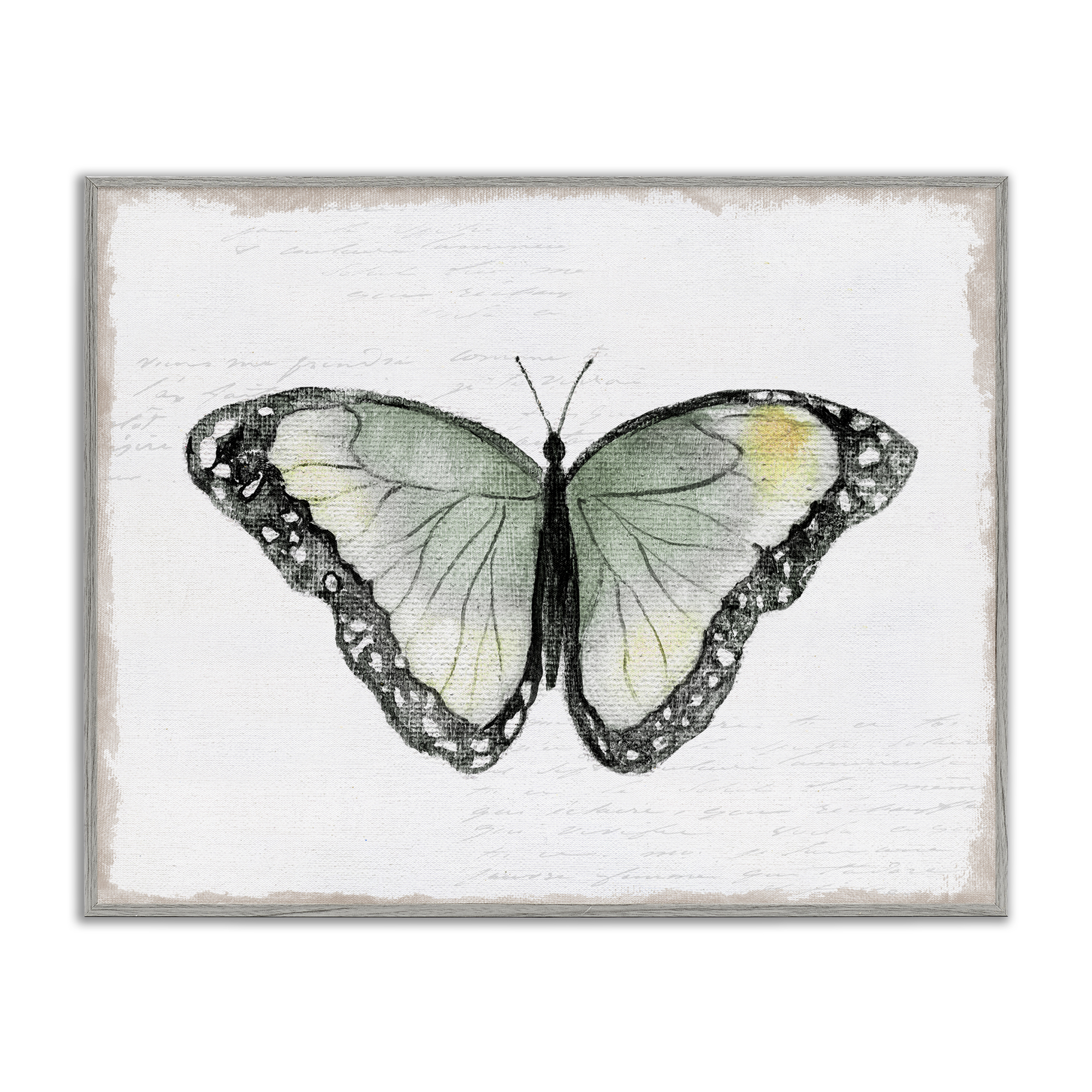 Stupell Industries Simple Butterfly Visage Animals Painting Gray Framed Art Print Wall Art, 30 x 24