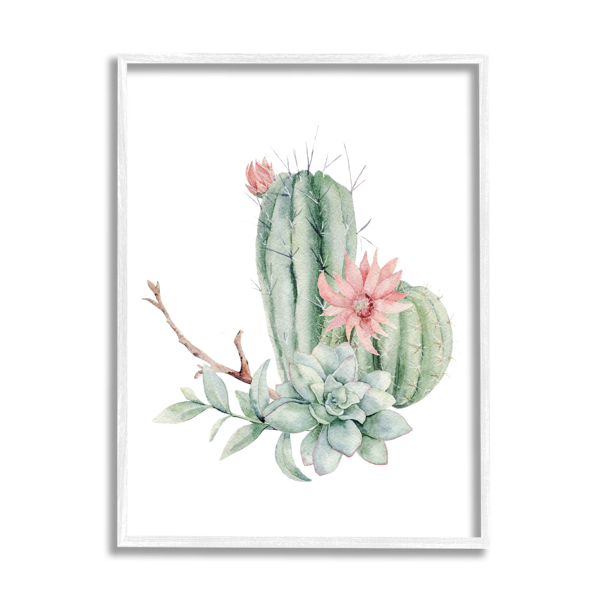Stupell Industries Simple Cactus Flower Succulent Botanicals Arrangement , 11 x 14, Design by Mela Fay