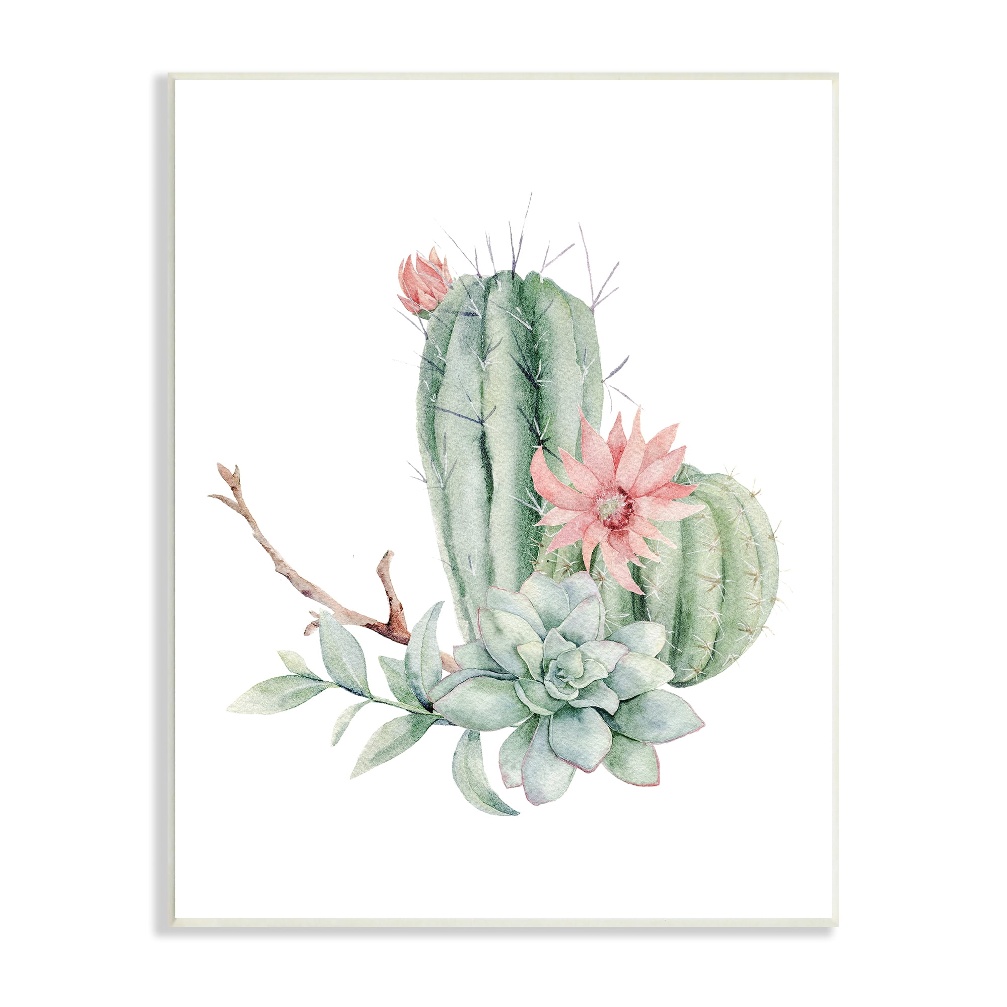 Stupell Industries Simple Cactus Flower Succulent Botanicals Arrangement , 13 x 19, Design by Mela Fay