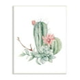 thumbnail image 1 of Stupell Industries Simple Cactus Flower Succulent Botanicals Arrangement , 13 x 19, Design by Mela Fay, 1 of 6