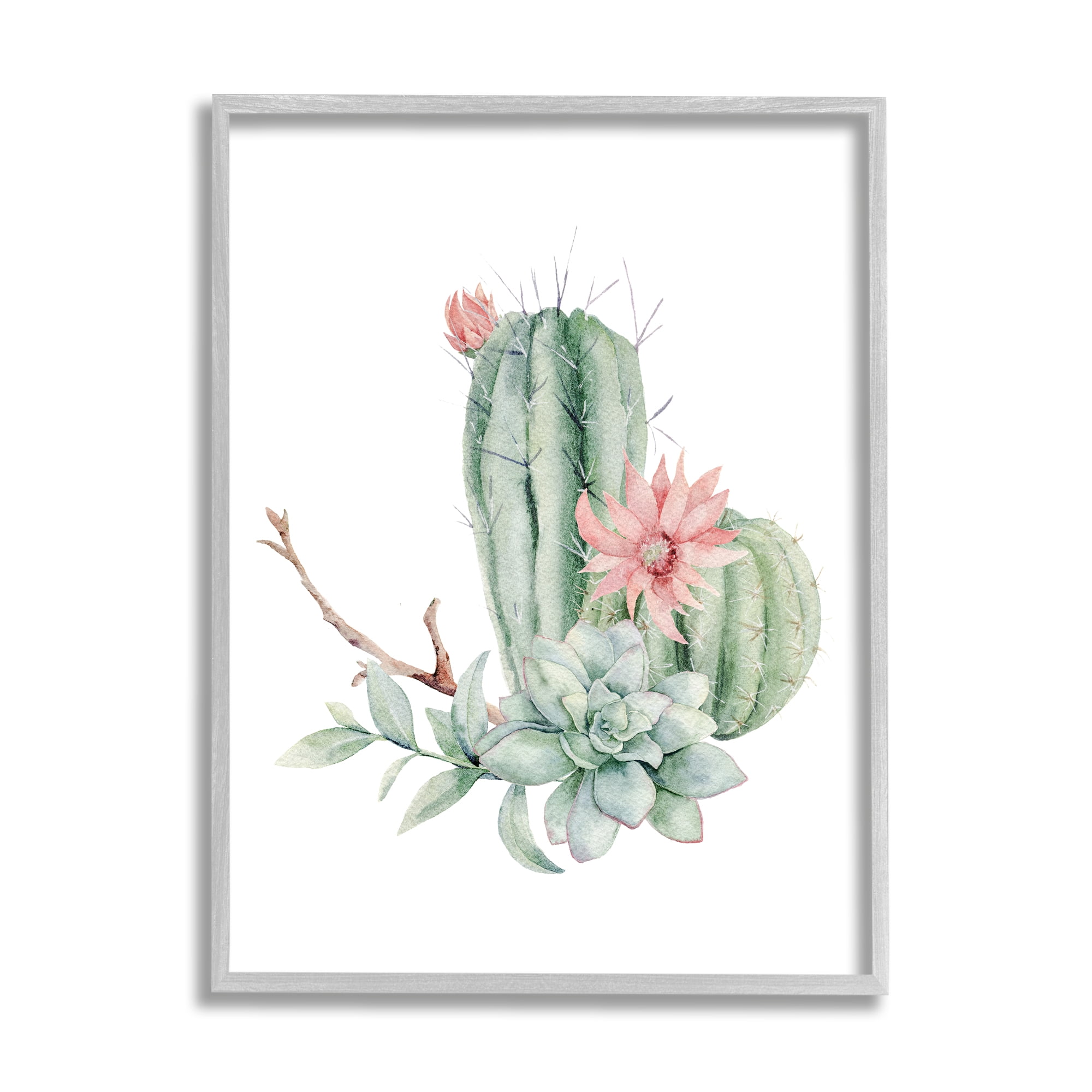 Stupell Industries Simple Cactus Flower Succulent Botanicals Arrangement , 24 x 30, Design by Mela Fay