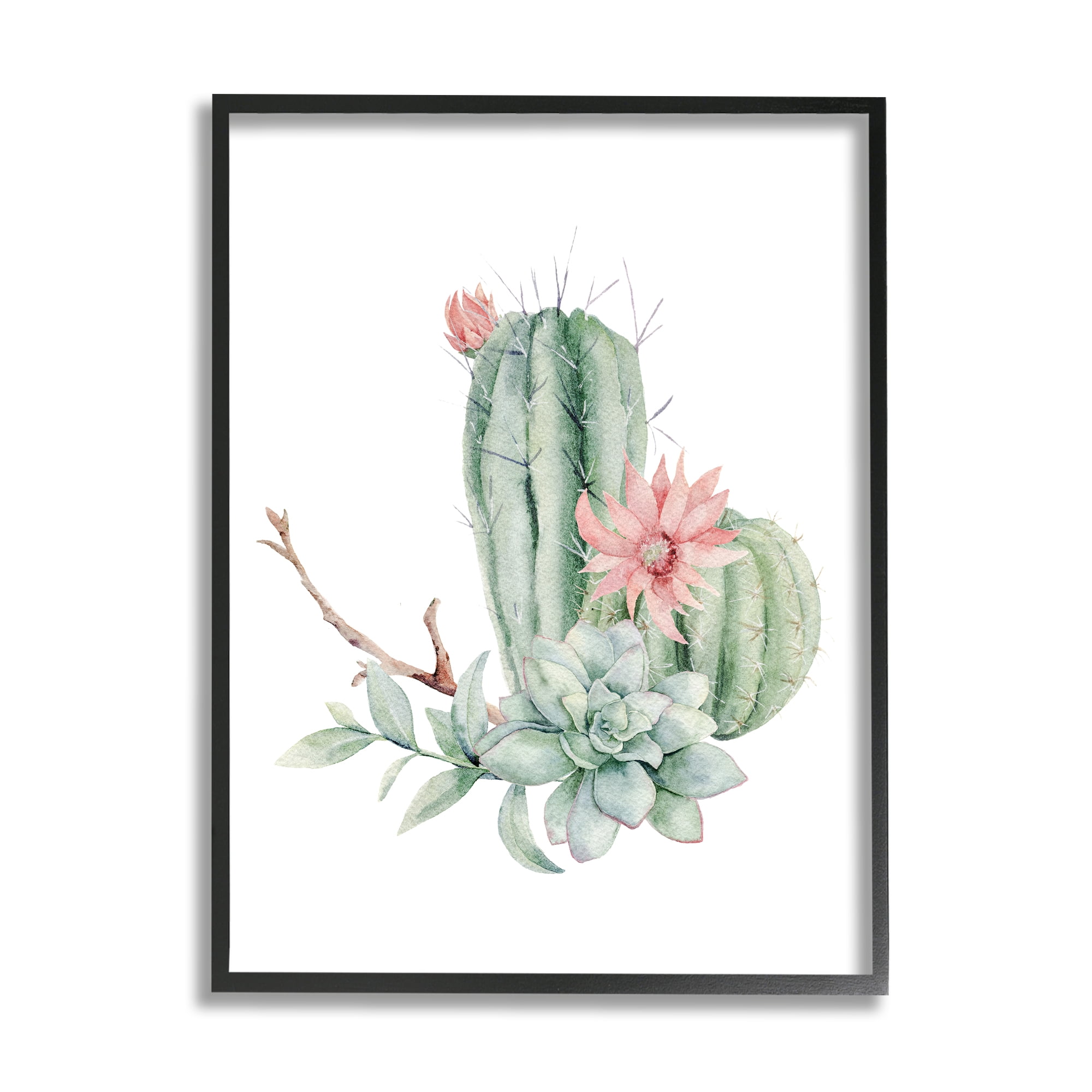 Stupell Industries Simple Cactus Flower Succulent Botanicals Arrangement , 24 x 30, Design by Mela Fay