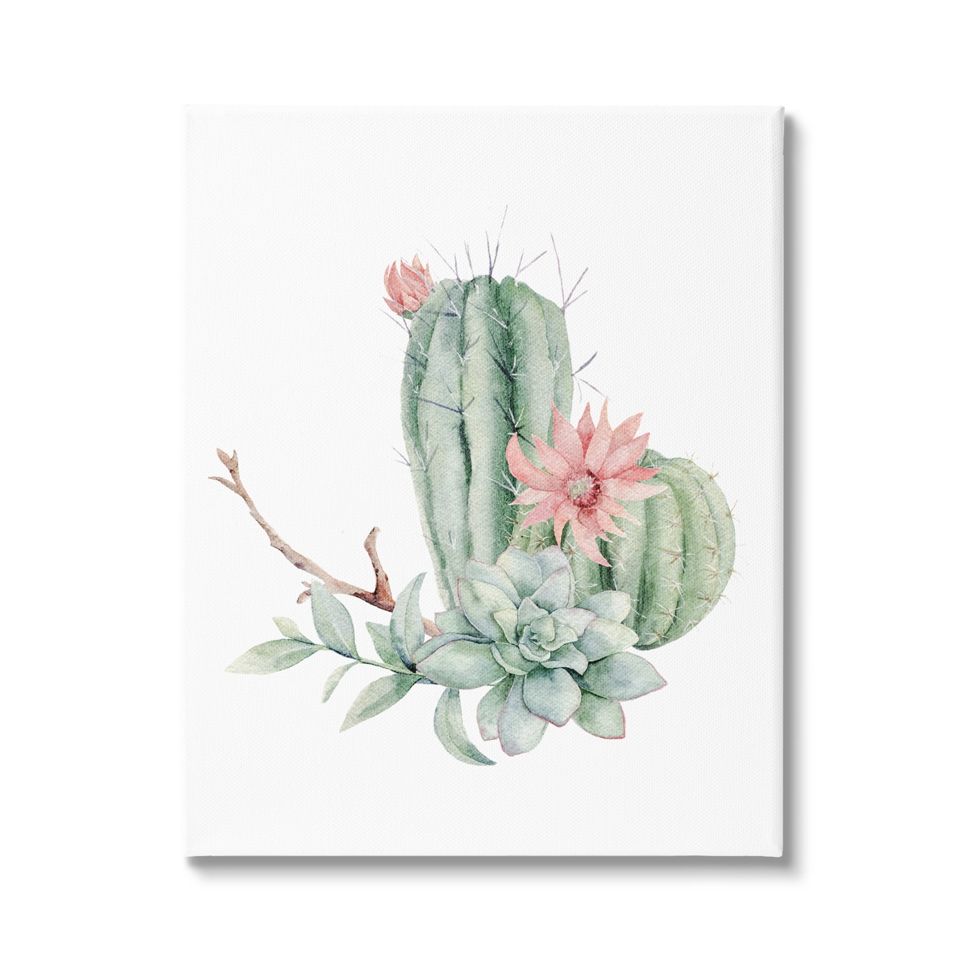 Stupell Industries Simple Cactus Flower Succulent Botanicals Arrangement Paintings Gallery-Wrapped Canvas Print Wall Art, 36x48, by Mela Fay