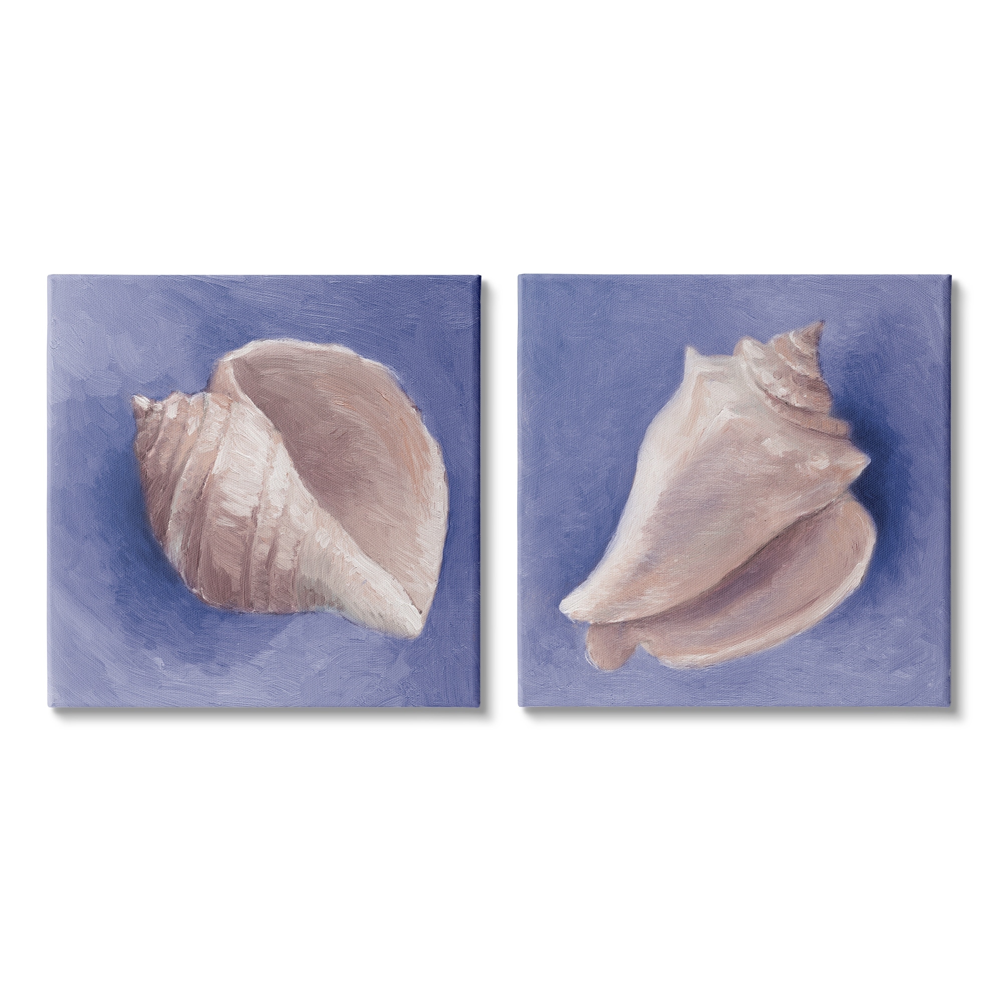 Stupell Industries Simple Classic Seashell Conch Still Life Painting , 24 x 24, Design by Lanie Loreth