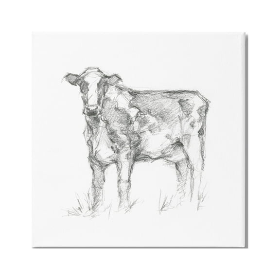 Stupell Industries Simple Cow Drawing Animals & Insects Drawing Gallery Wrapped Canvas Print Wall Art, 30 x 30