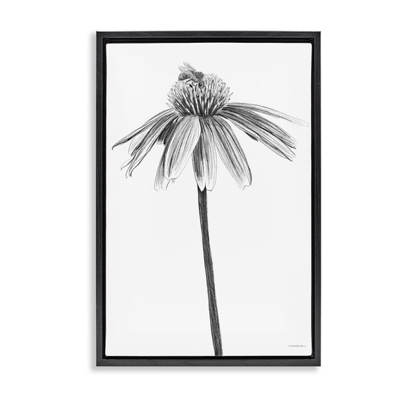 Stupell Industries Simple Daisy Sprig Botanical & Floral Drawing Black Floater Framed Art Print Wall Art, 17 x 25