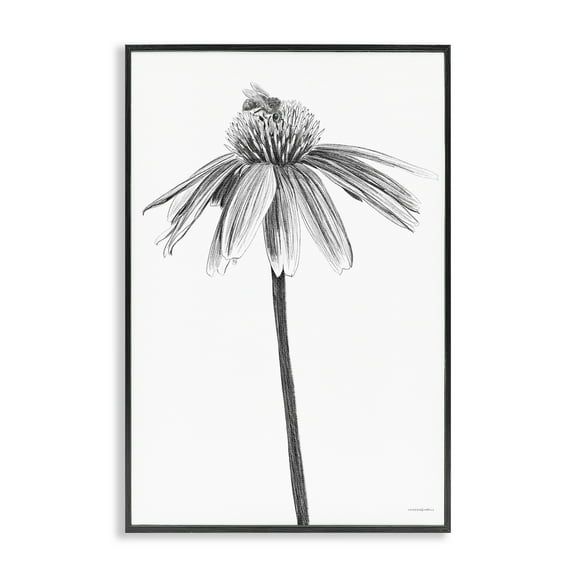 Stupell Industries Simple Daisy Sprig Botanical & Floral Drawing Black Framed Art Print Wall Art, 12 x 18