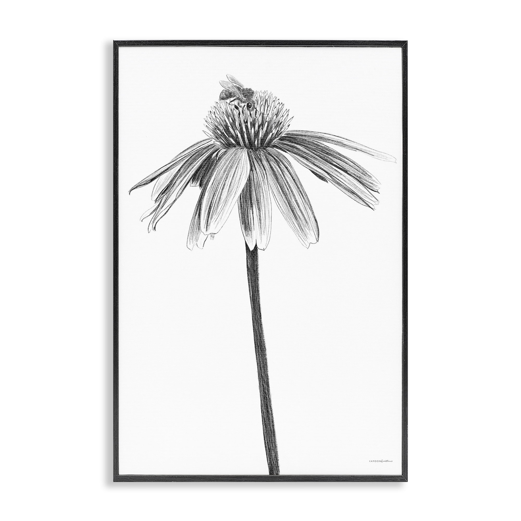 Stupell Industries Simple Daisy Sprig Botanical & Floral Drawing Black Framed Art Print Wall Art, 16 x 24