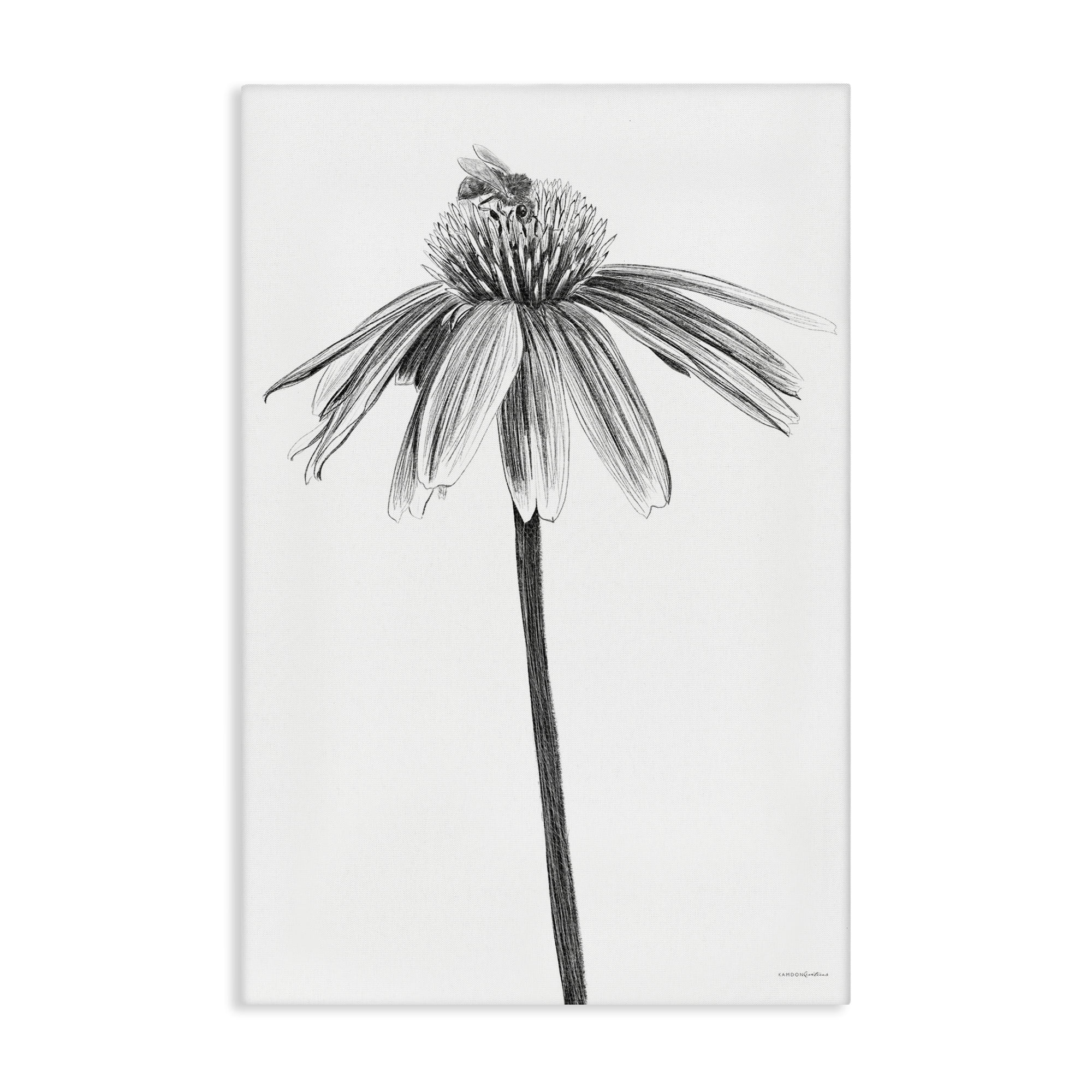 Stupell Industries Simple Daisy Sprig Botanical & Floral Drawing Gallery Wrapped Canvas Art Print Wall Art, 24 x 36