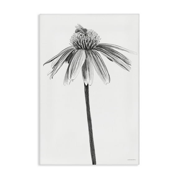 Stupell Industries Simple Daisy Sprig Botanical & Floral Drawing Gallery Wrapped Canvas Art Print Wall Art, 24 x 36