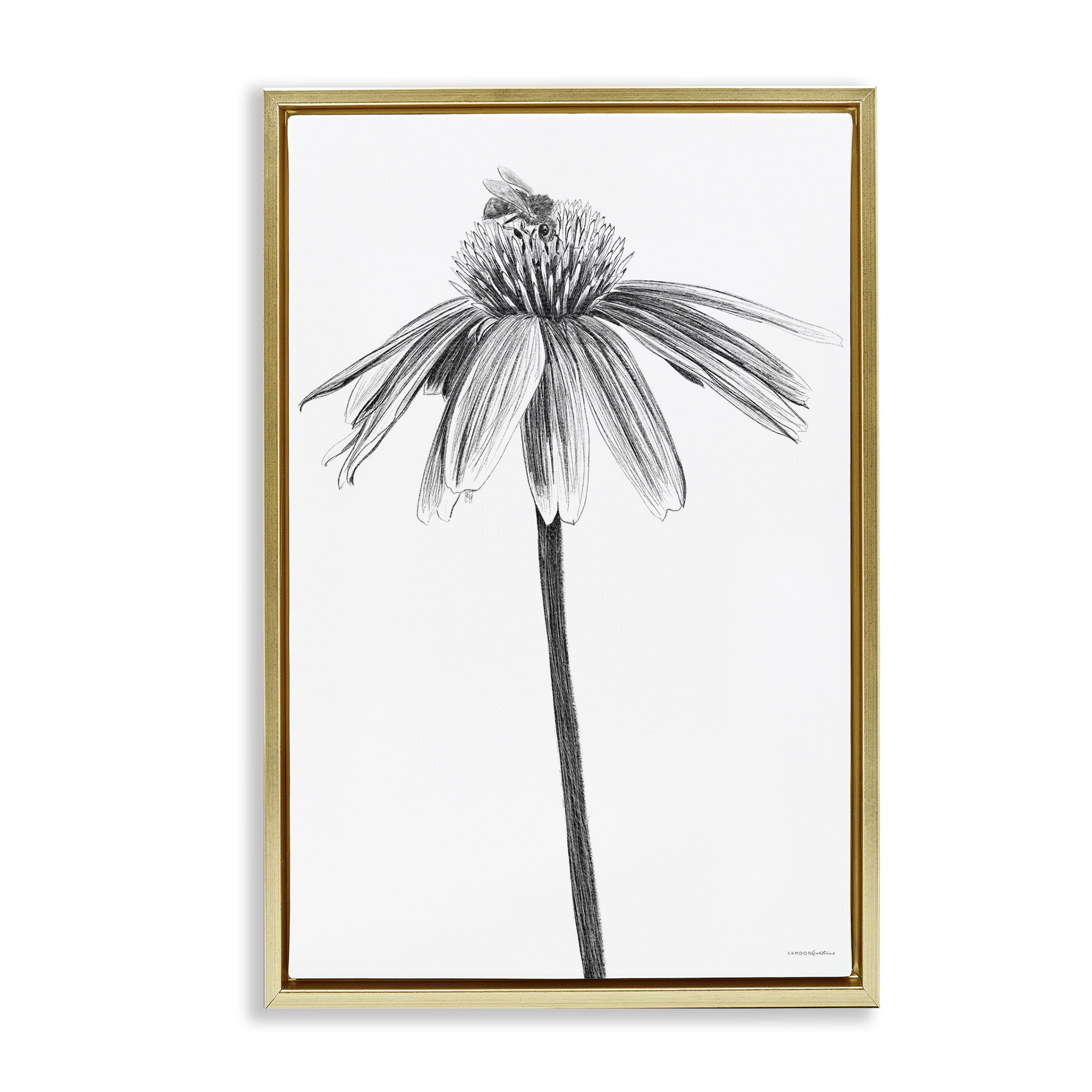Stupell Industries Simple Daisy Sprig Botanical & Floral Drawing Gold Floater Framed Art Print Wall Art, 21 x 31