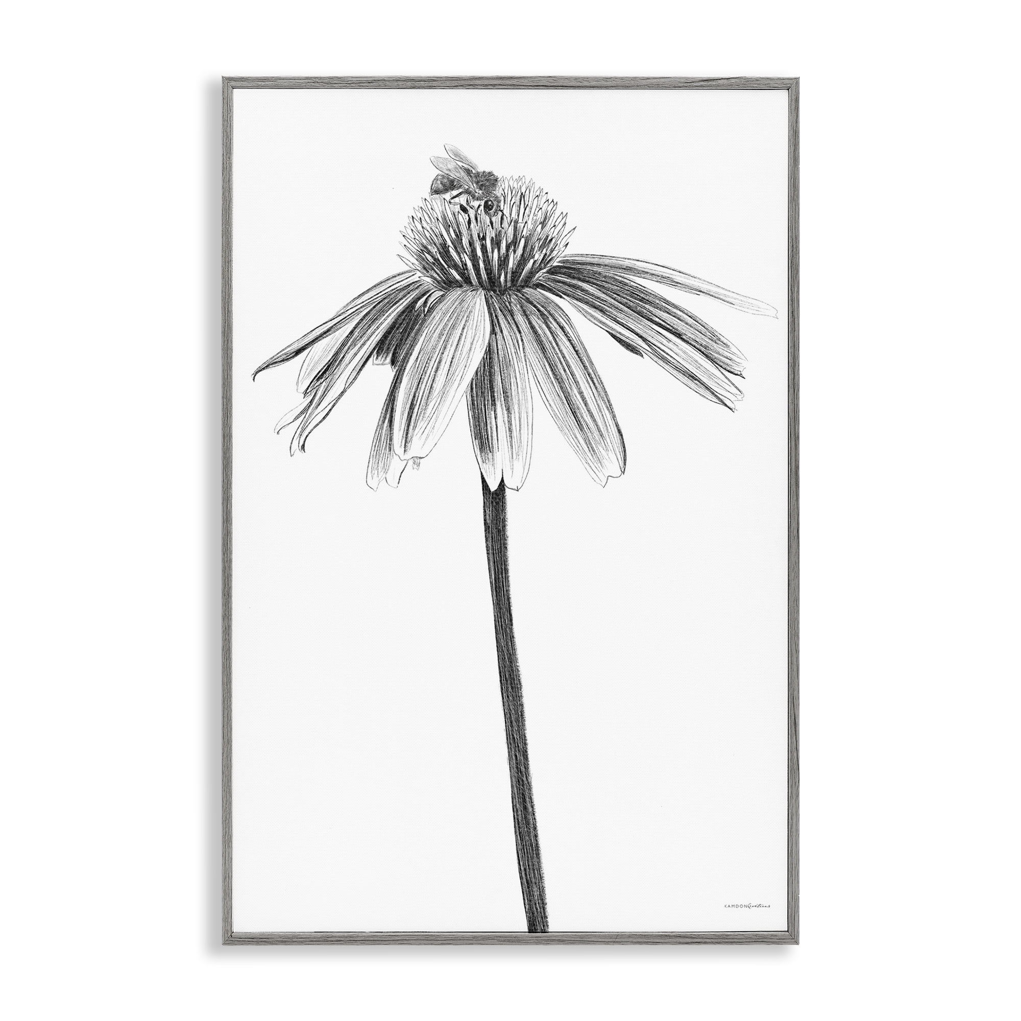 Stupell Industries Simple Daisy Sprig Botanical & Floral Drawing Gray Framed Art Print Wall Art, 16 x 24