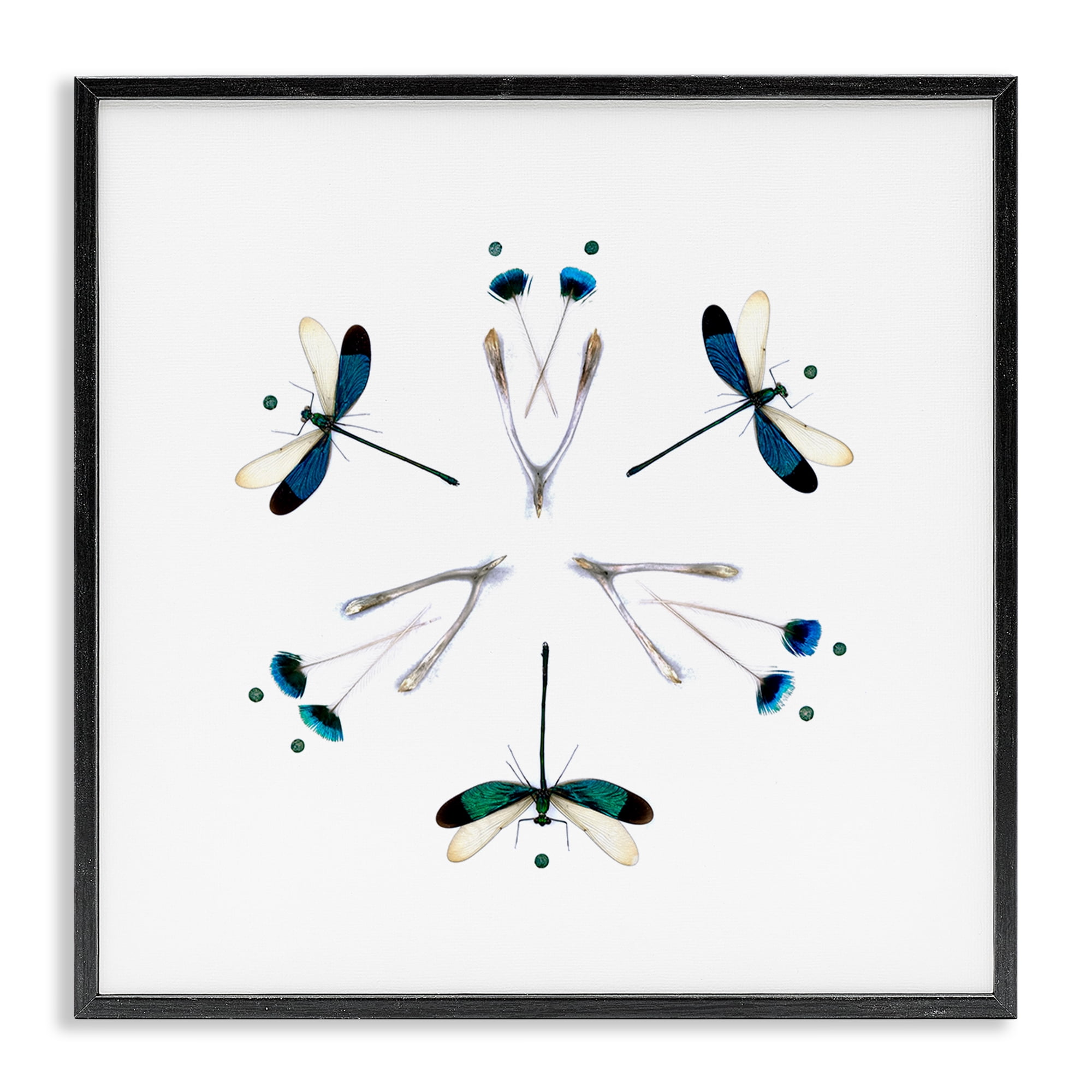 Stupell Industries Simple Dragonfly Symmetry Black Framed Giclee Art, design by Beth Adoette