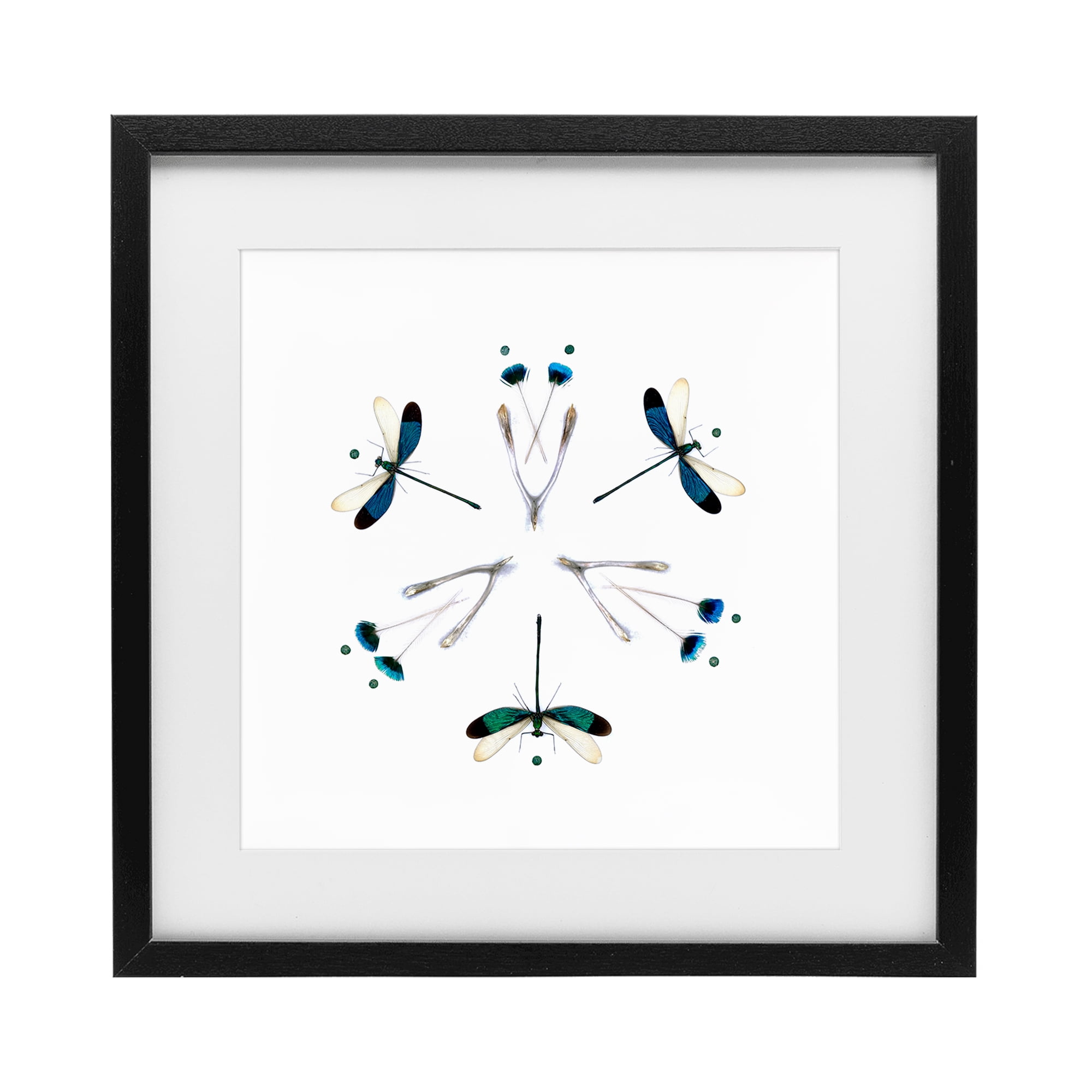 Stupell Industries Simple Dragonfly Symmetry Black Framed Print Under Glass, design by Beth Adoette