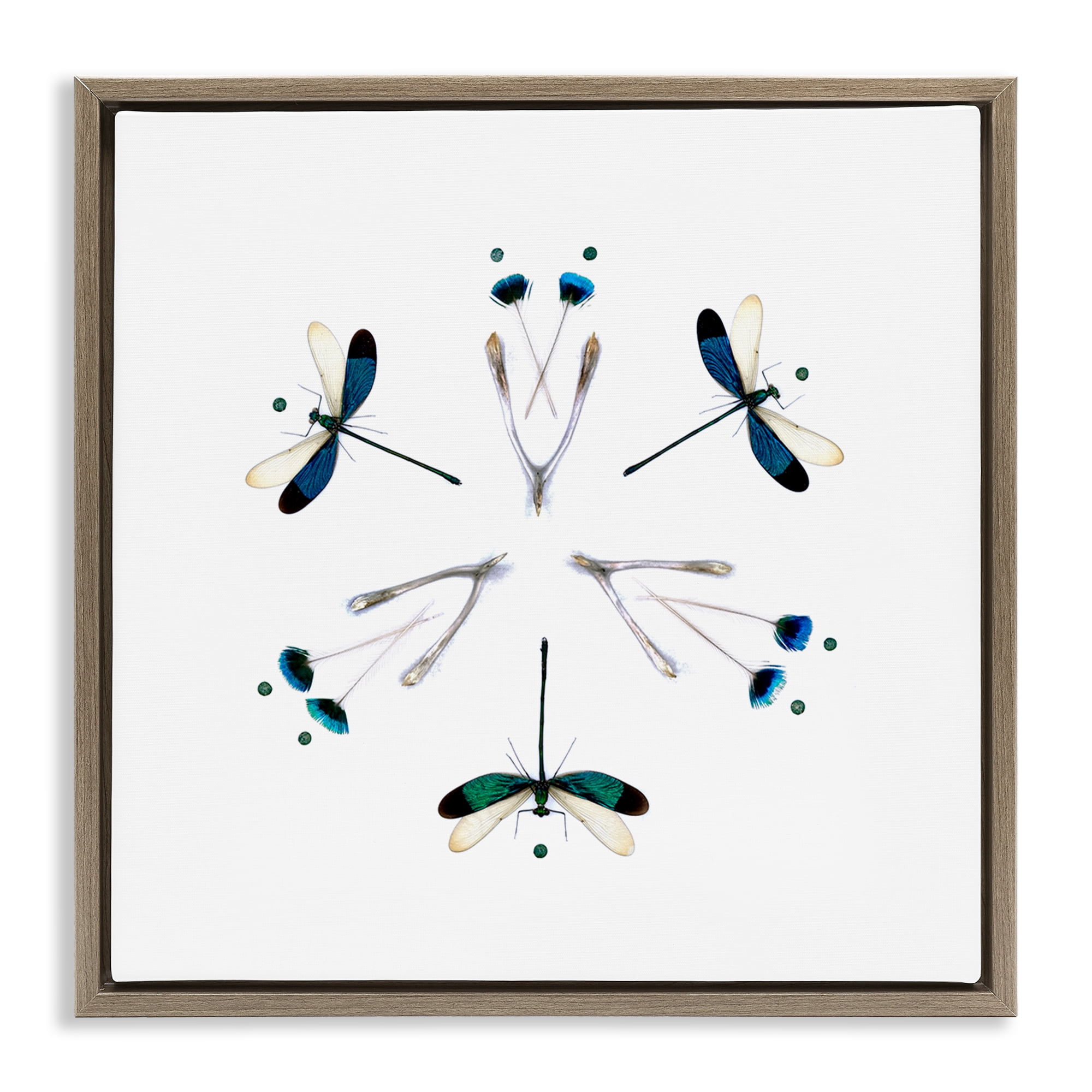 Stupell Industries Simple Dragonfly Symmetry Brown Framed Floater Canvas Wall Art, design by Beth Adoette