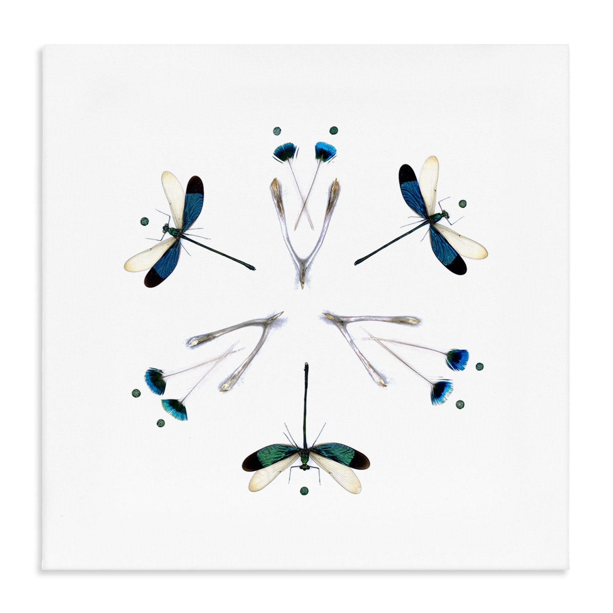 Stupell Industries Simple Dragonfly Symmetry Canvas Wall Art, design by Beth Adoette
